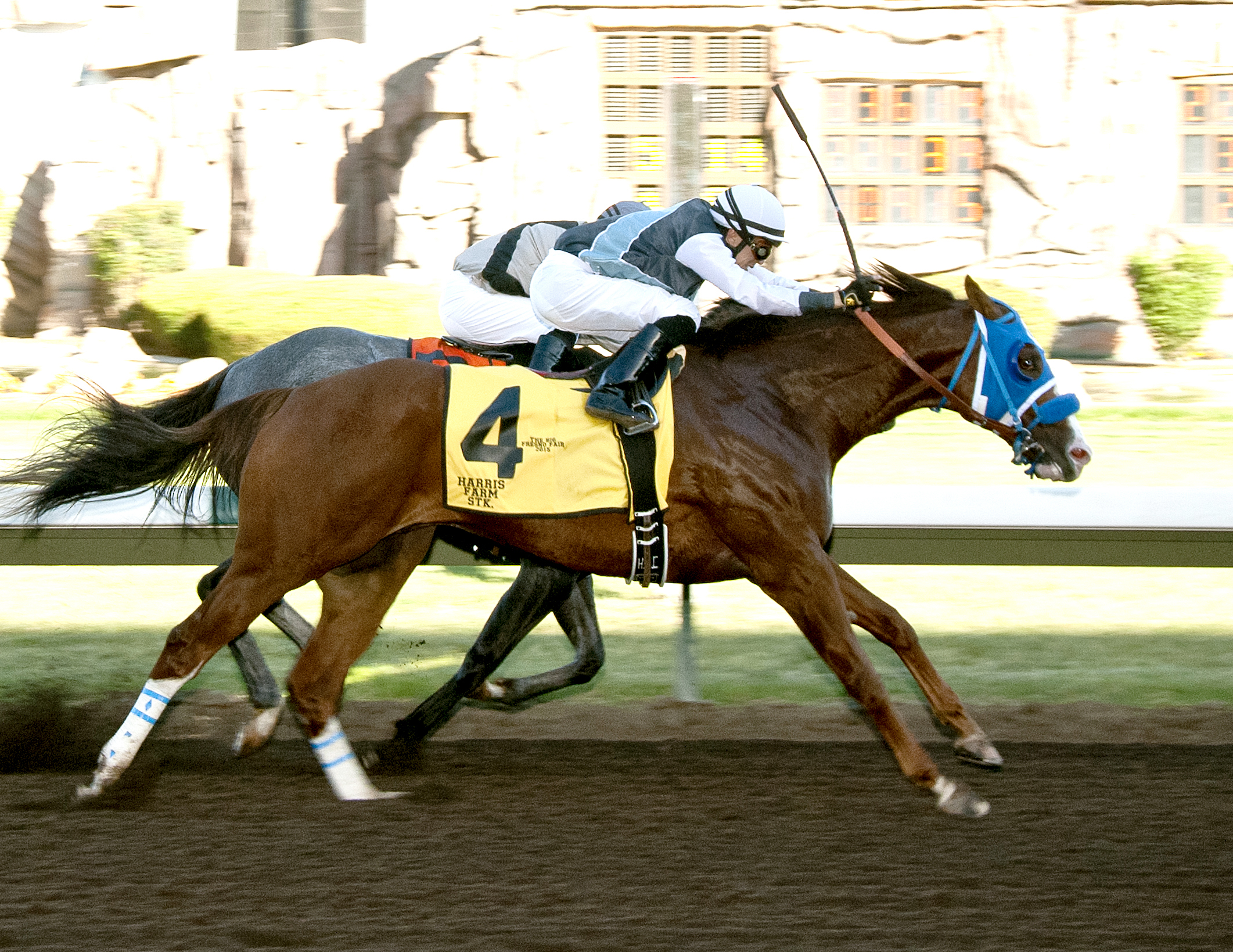 Raised A Secret wins the Harris Farm Stakes