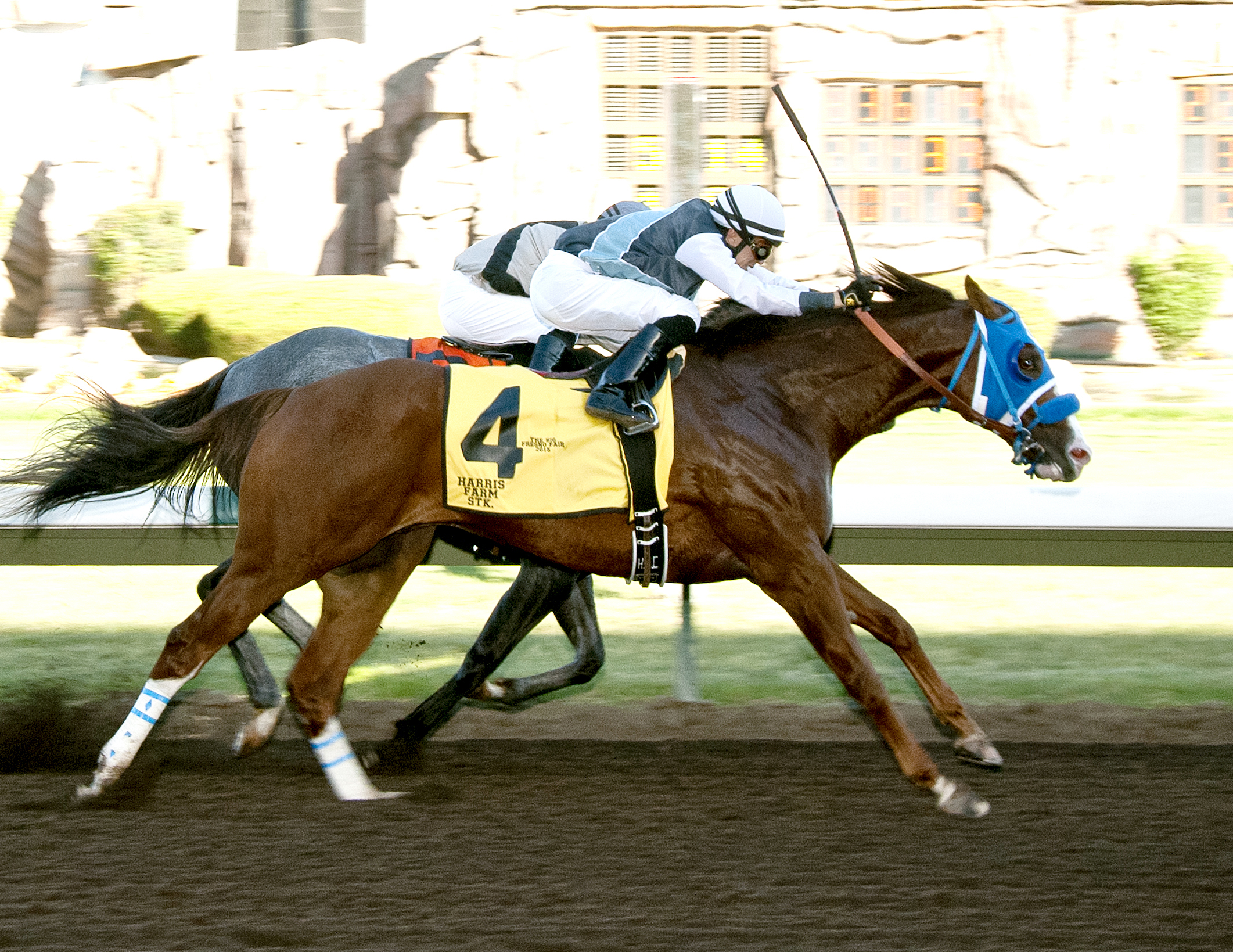 Raised a Secret wins the 2015 Harris Farms Stakes