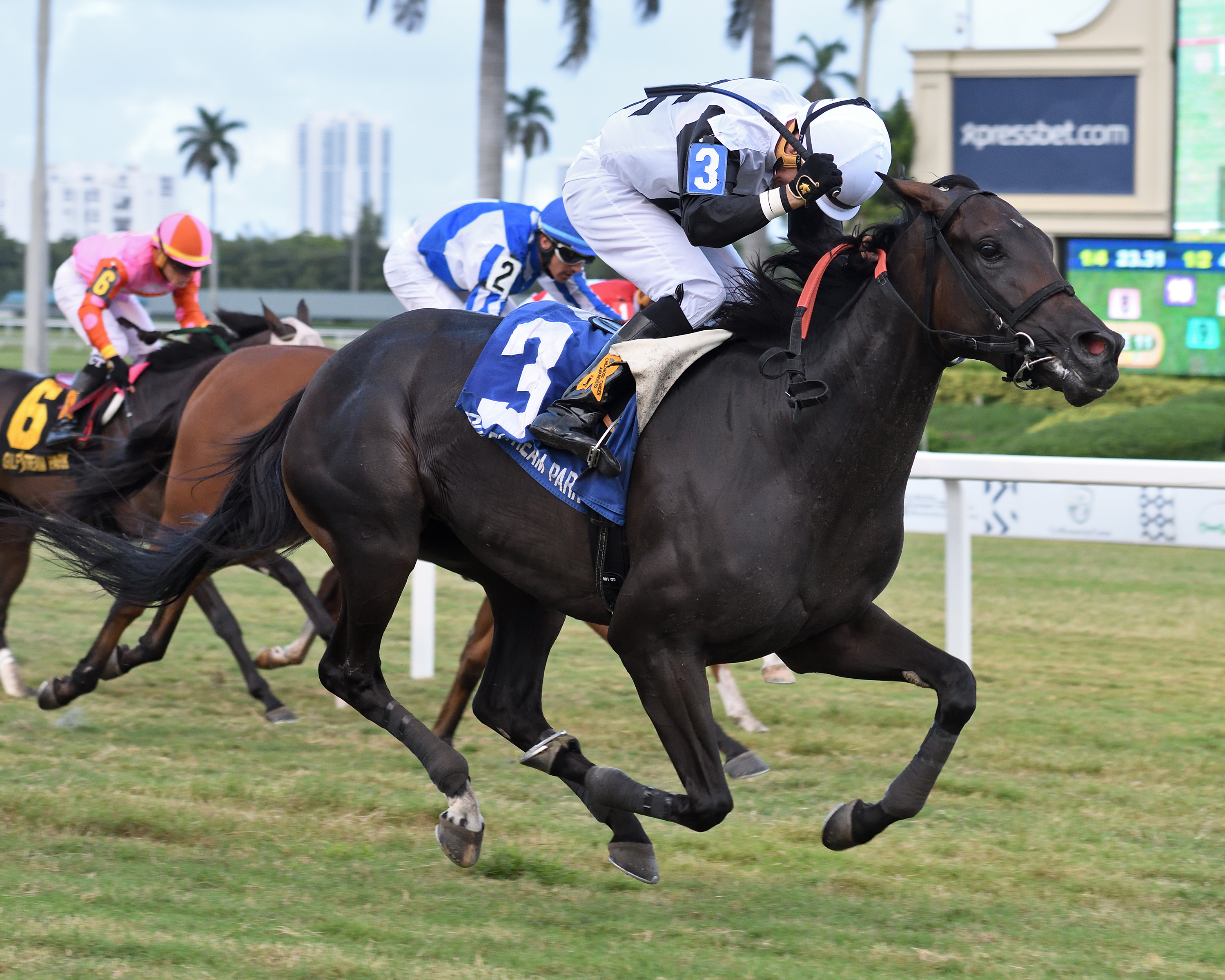 Raki wins the 2019 Miss Gracie Stakes
