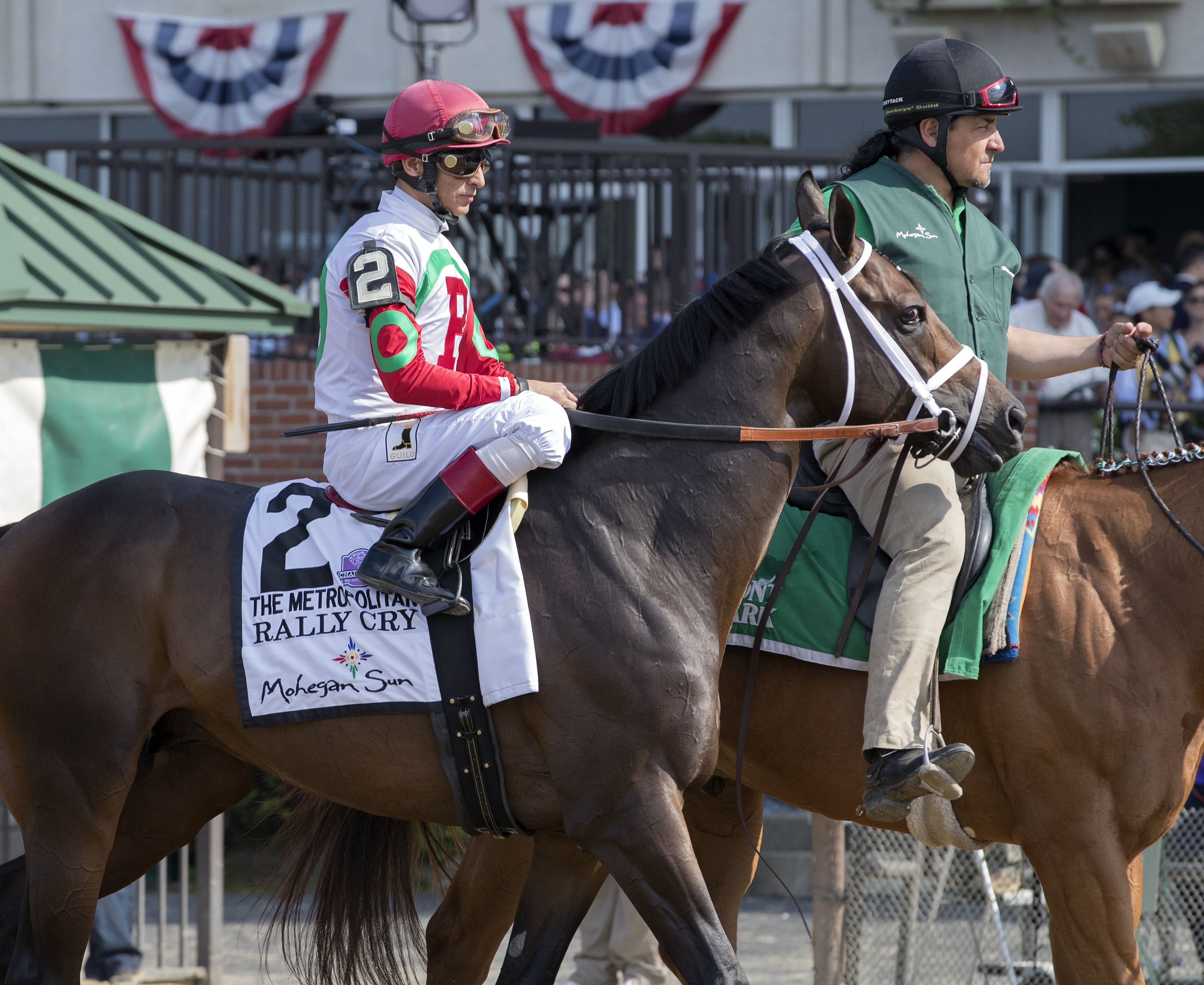 Rally Cry in the post parade for the Metropolitan Handicap at Belmont Park 6.10.17_DRO
