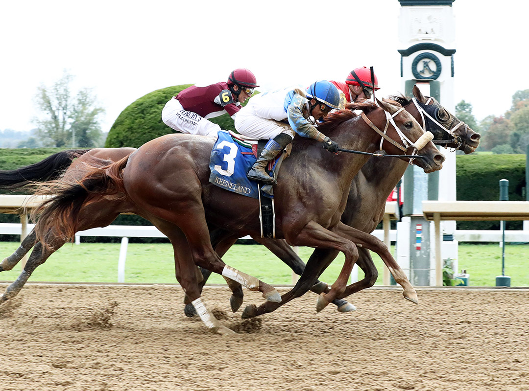 Ram (3) finishes second in the 2021 Perryville Stakes at Keeneland Racecourse