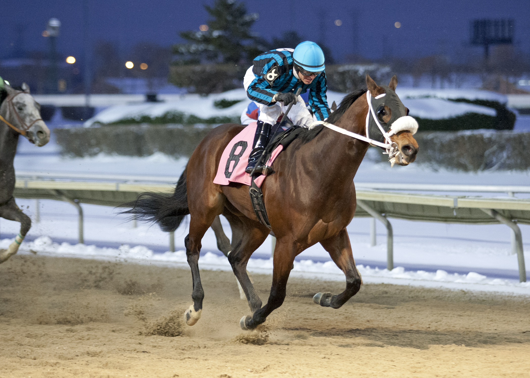 Rambling Richie, Edgar Futurity