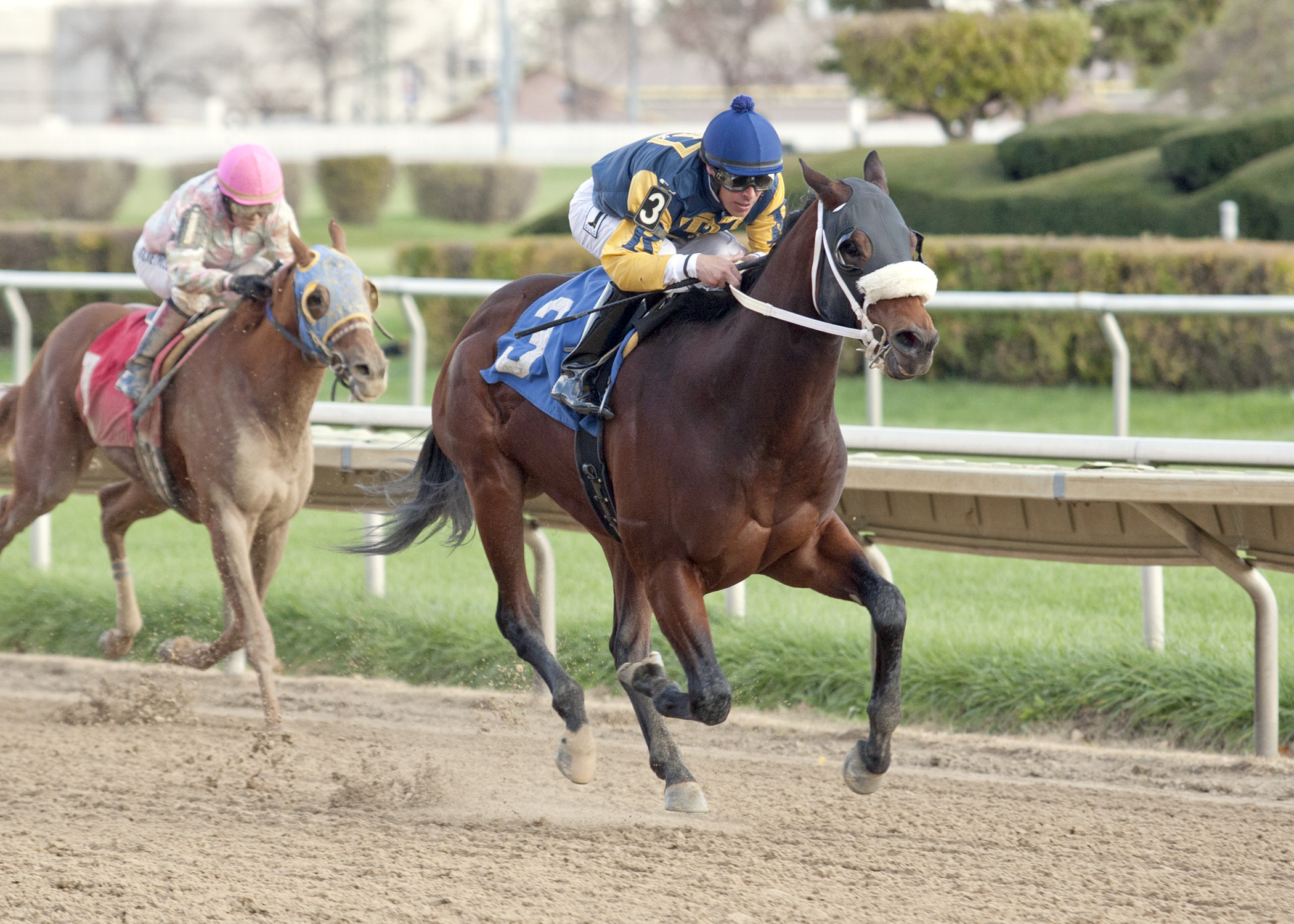 Rambling Richie wins the Sun Power Stakes