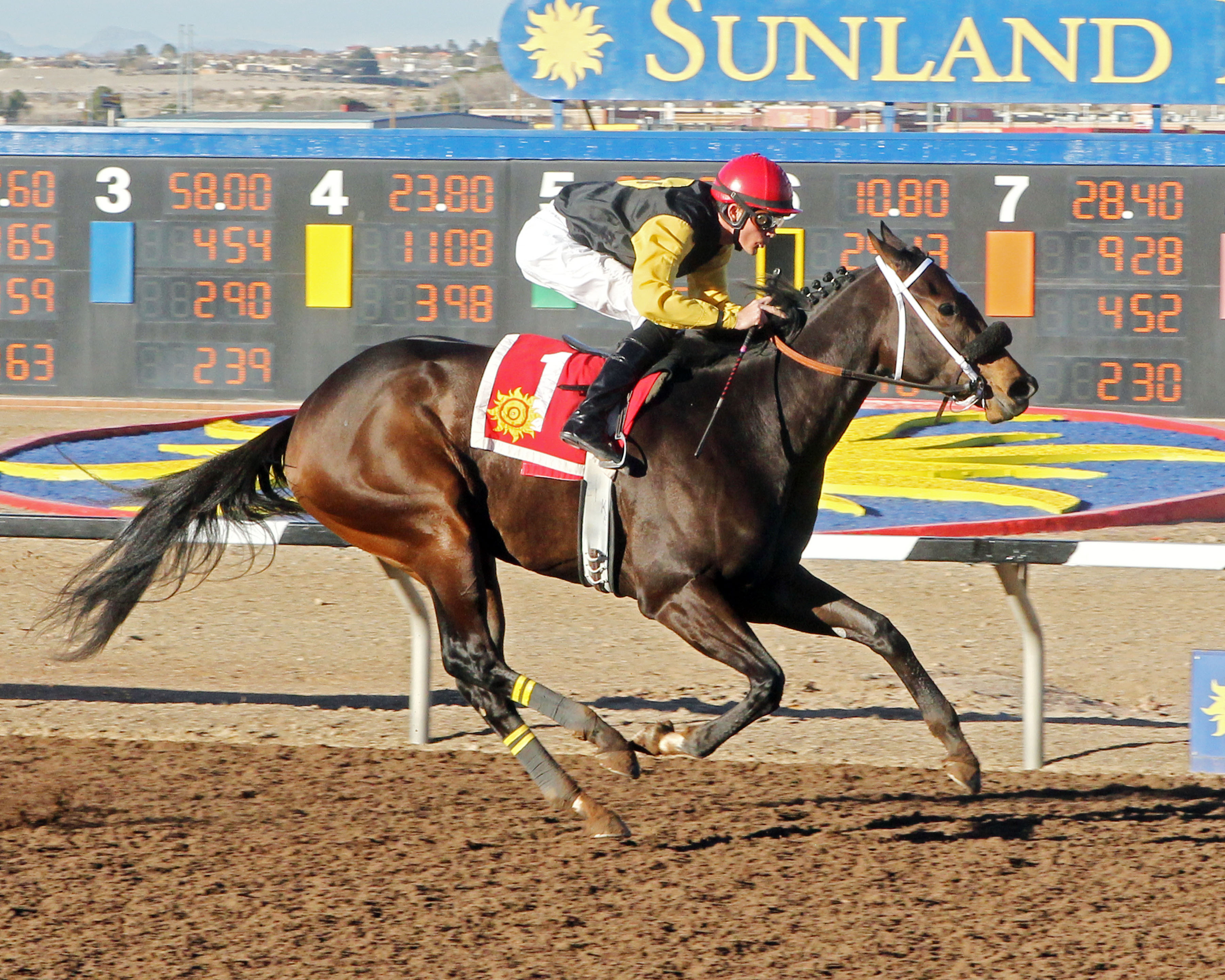 Ramona's Wildcat wins the El Paso Times Handicap