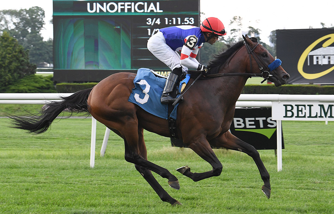 Ranger Fox wins a July 10 maiden race at Belmont Park
