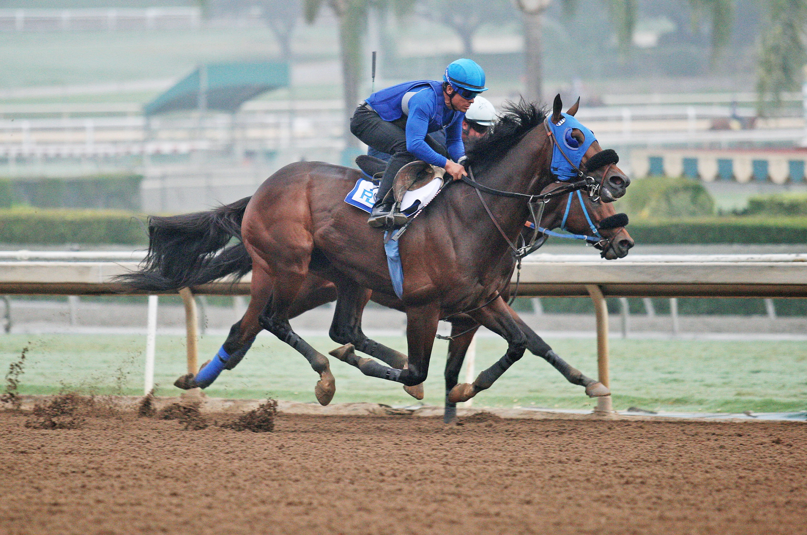 Ransom the Moon trains at Santa Anita on Oct. 29