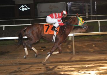 Rapid Redux, Nov. 21, 2011, 20th straight win