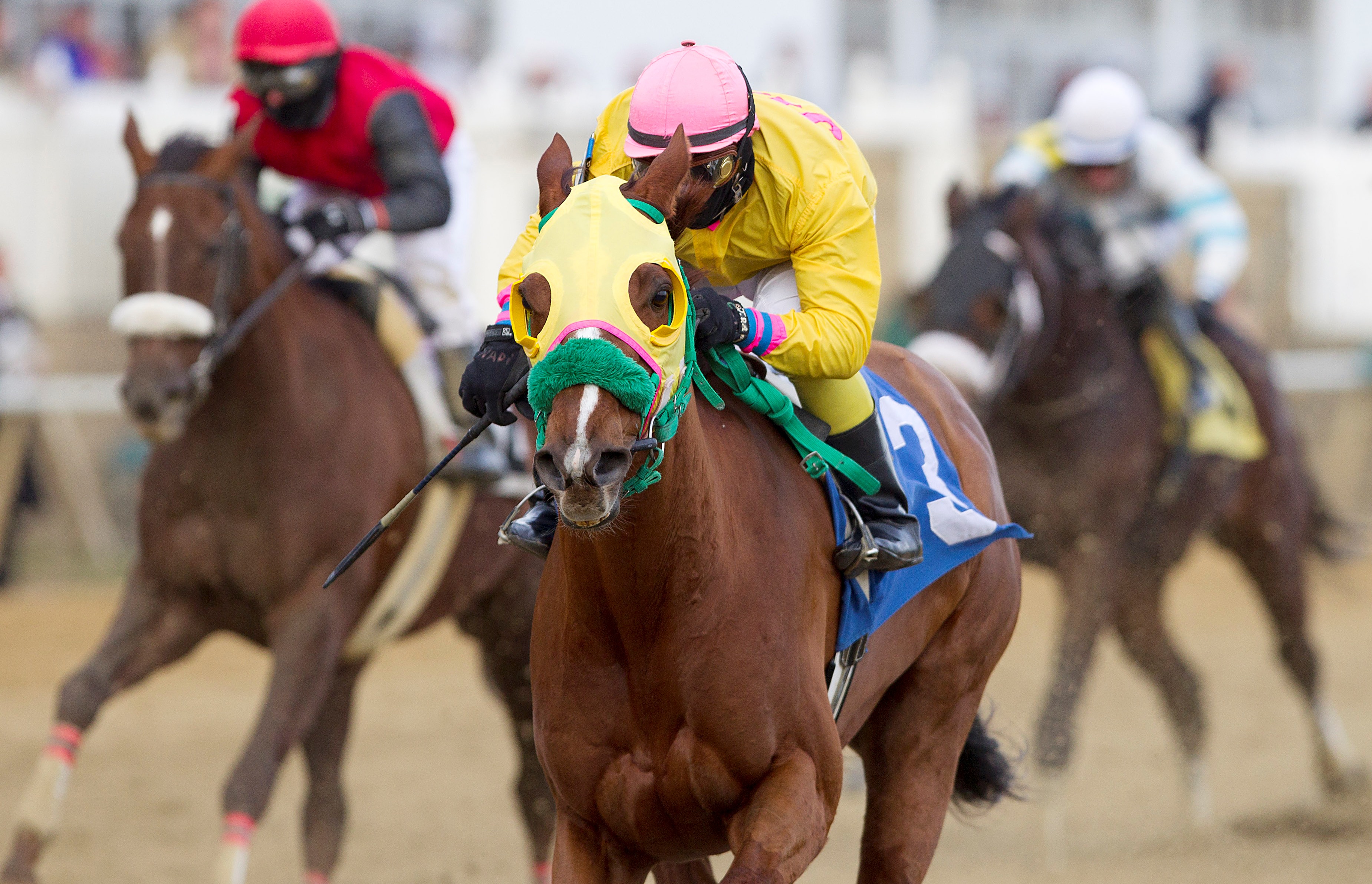 Rapid Redux, Jan. 4, 2012, Laurel Park, 22nd in a row