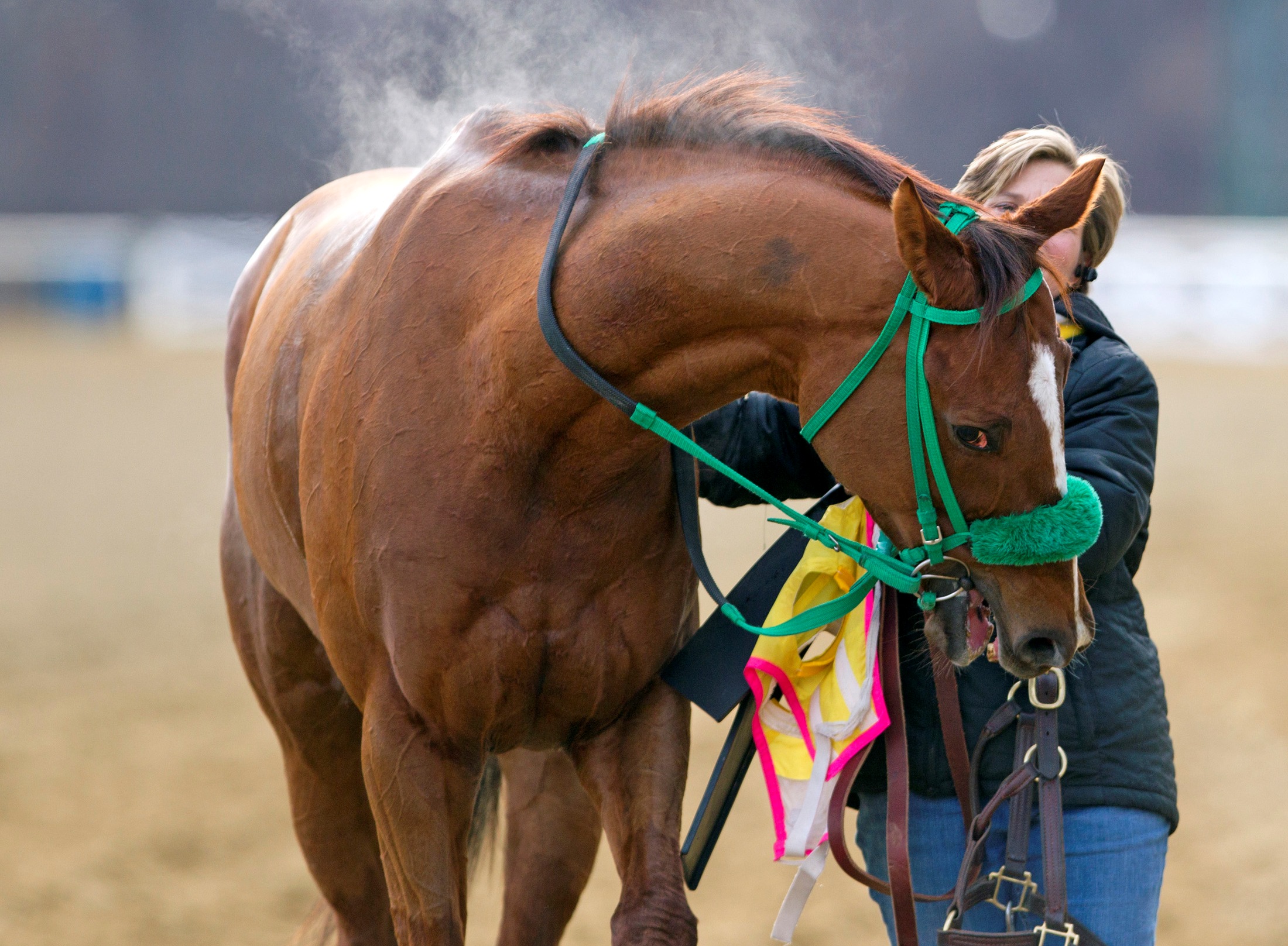 Rapid Redux, Laurel Park, Jan. 4, 2012