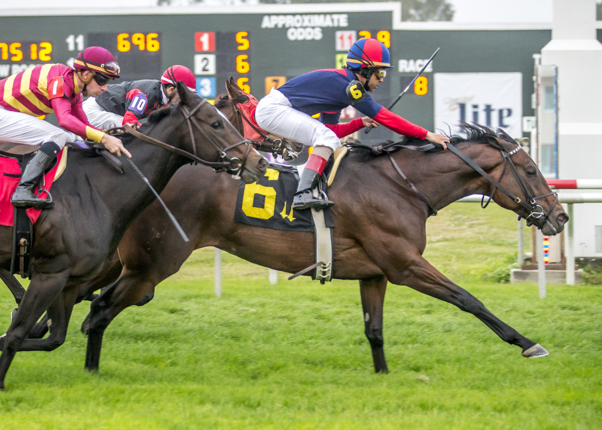 Rapid Rhythm wins the 2017 Richard Scherer Memorial