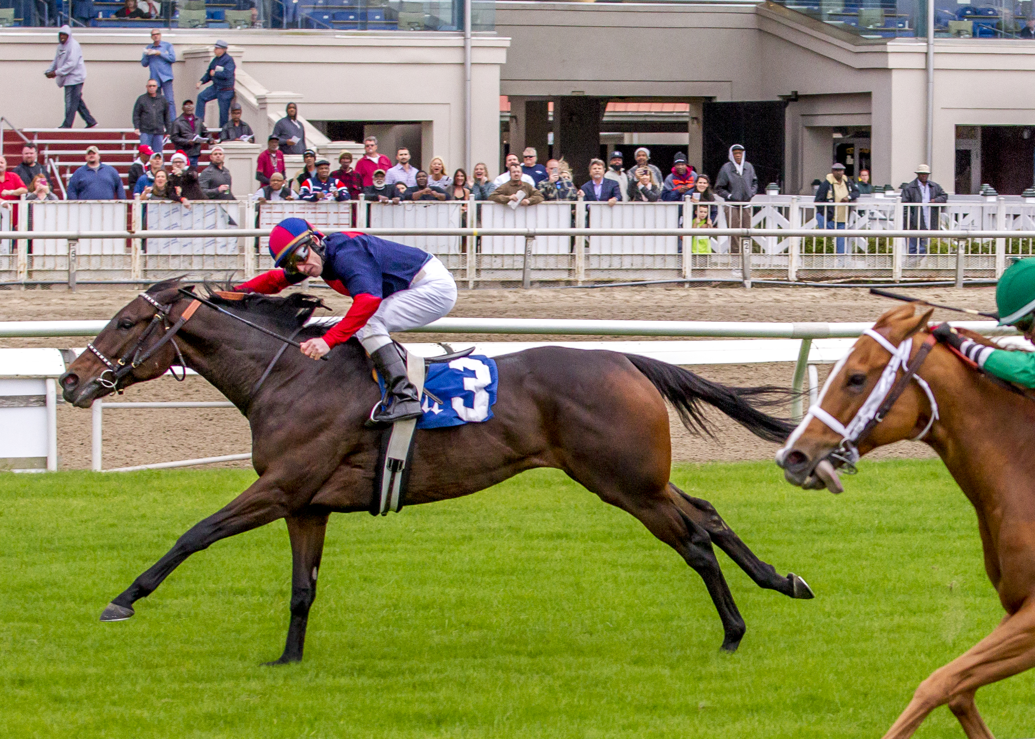 Rapid Rhythm wins the Battle of New Orleans Overnight Stakes