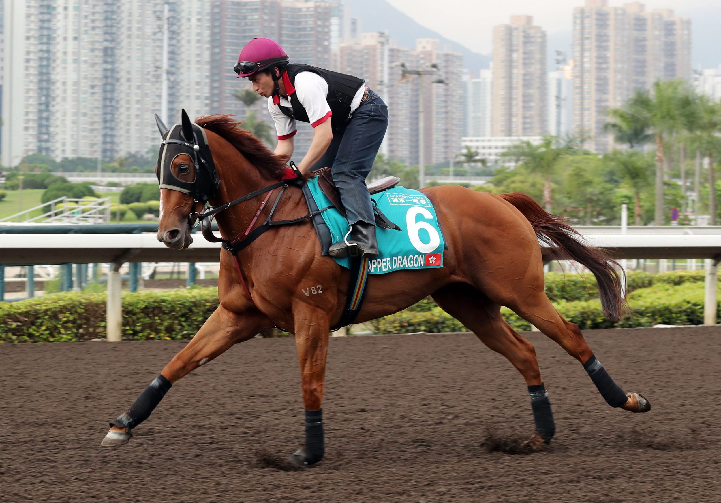 Rapper Dragon trains at Sha Tin on May 3