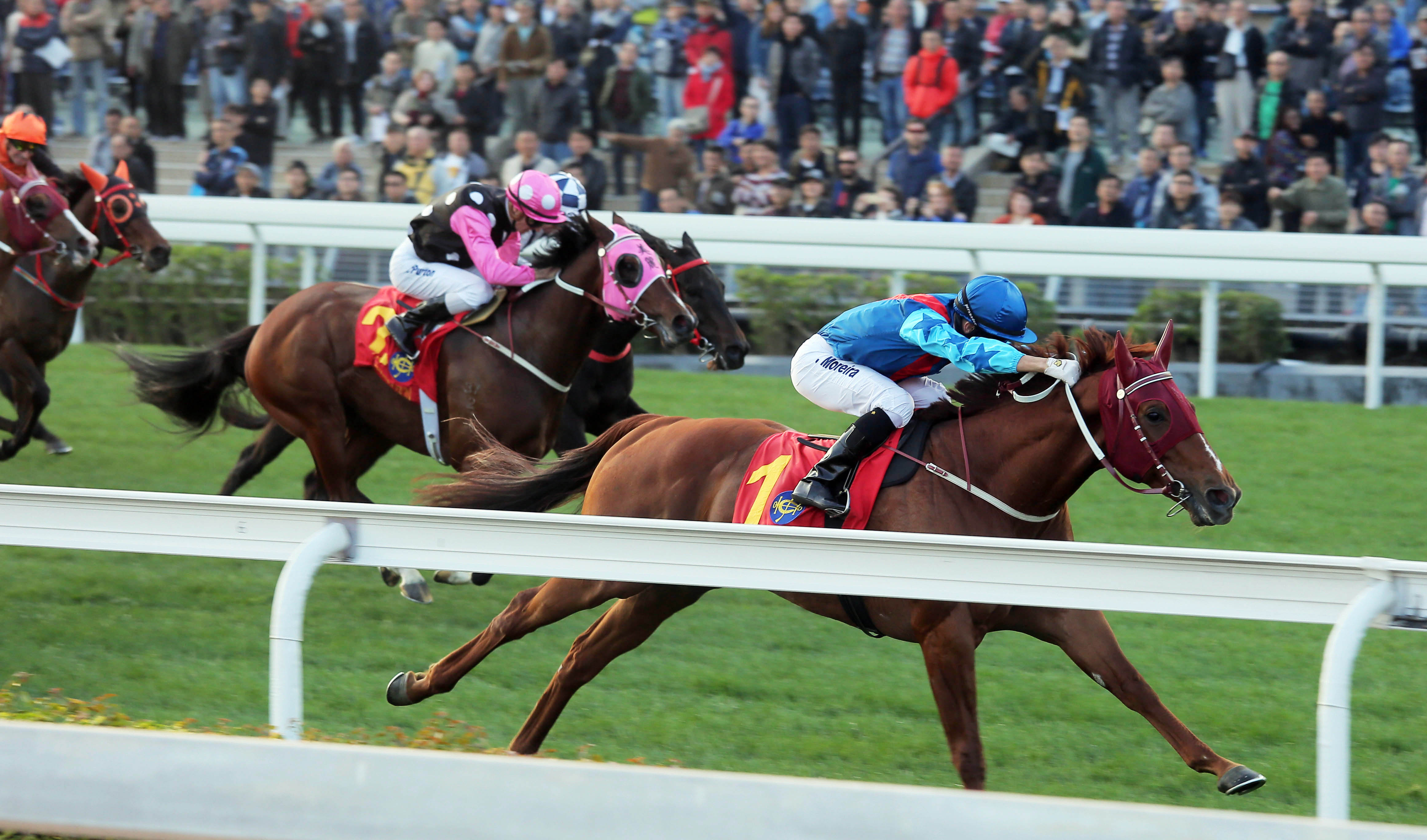 Rapper Dragon wins the Hong Kong Classic Mile