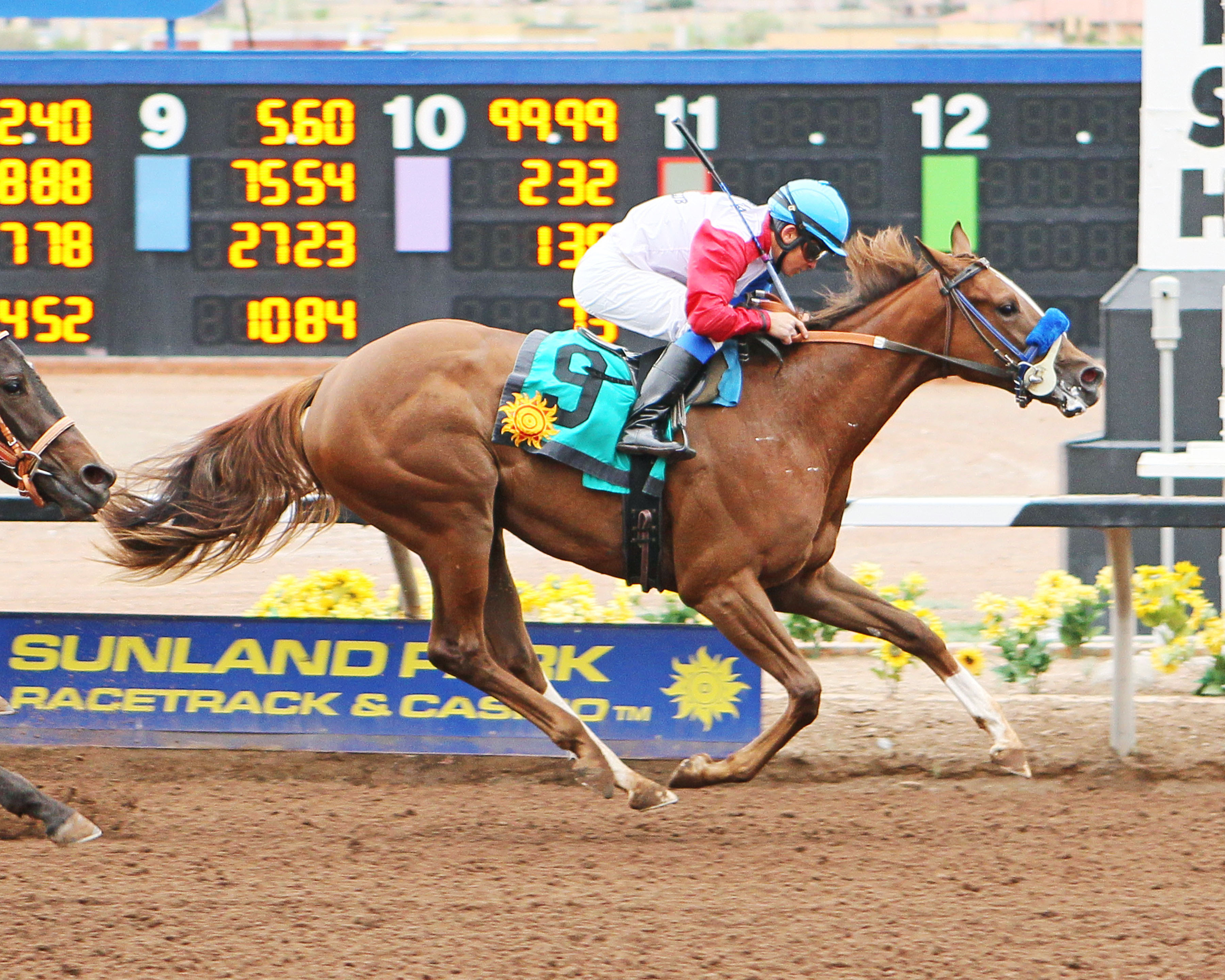 Rapping Mary wins the Copper Top Futurity