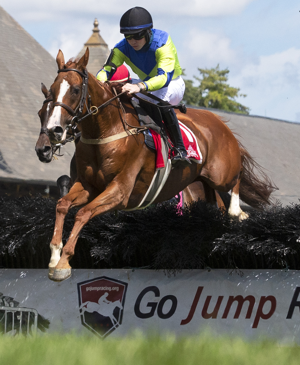 Rashaan, NY Turf Writers