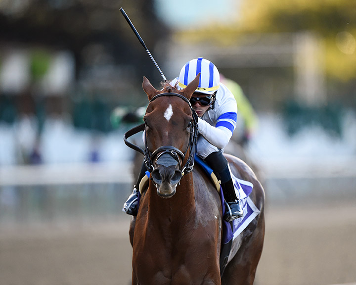 Ratajkowski wins the 2019 Empire Distaff at Handicap at Belmont Park