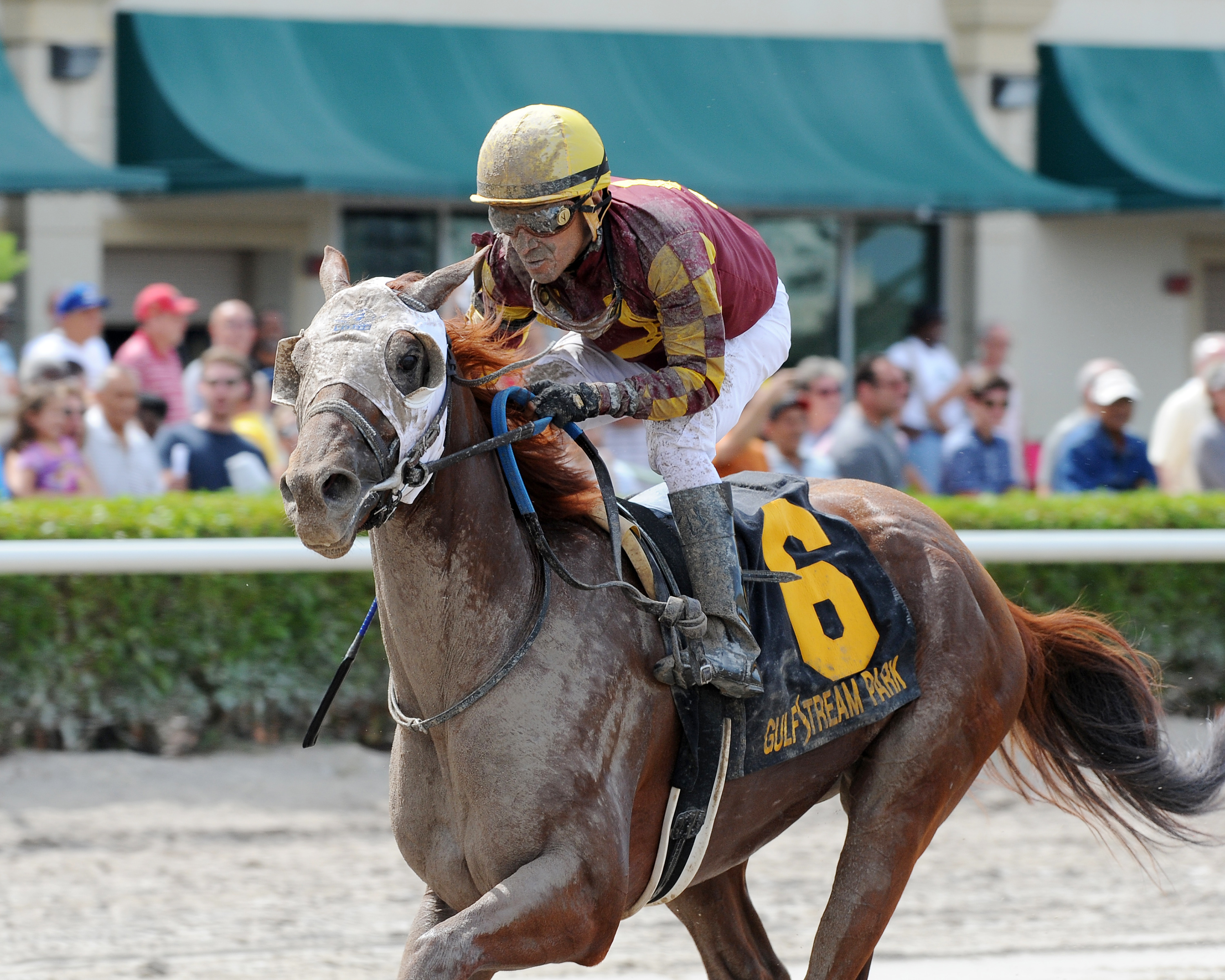 Rated R Superstar wins the 2016 Carry Back Stakes