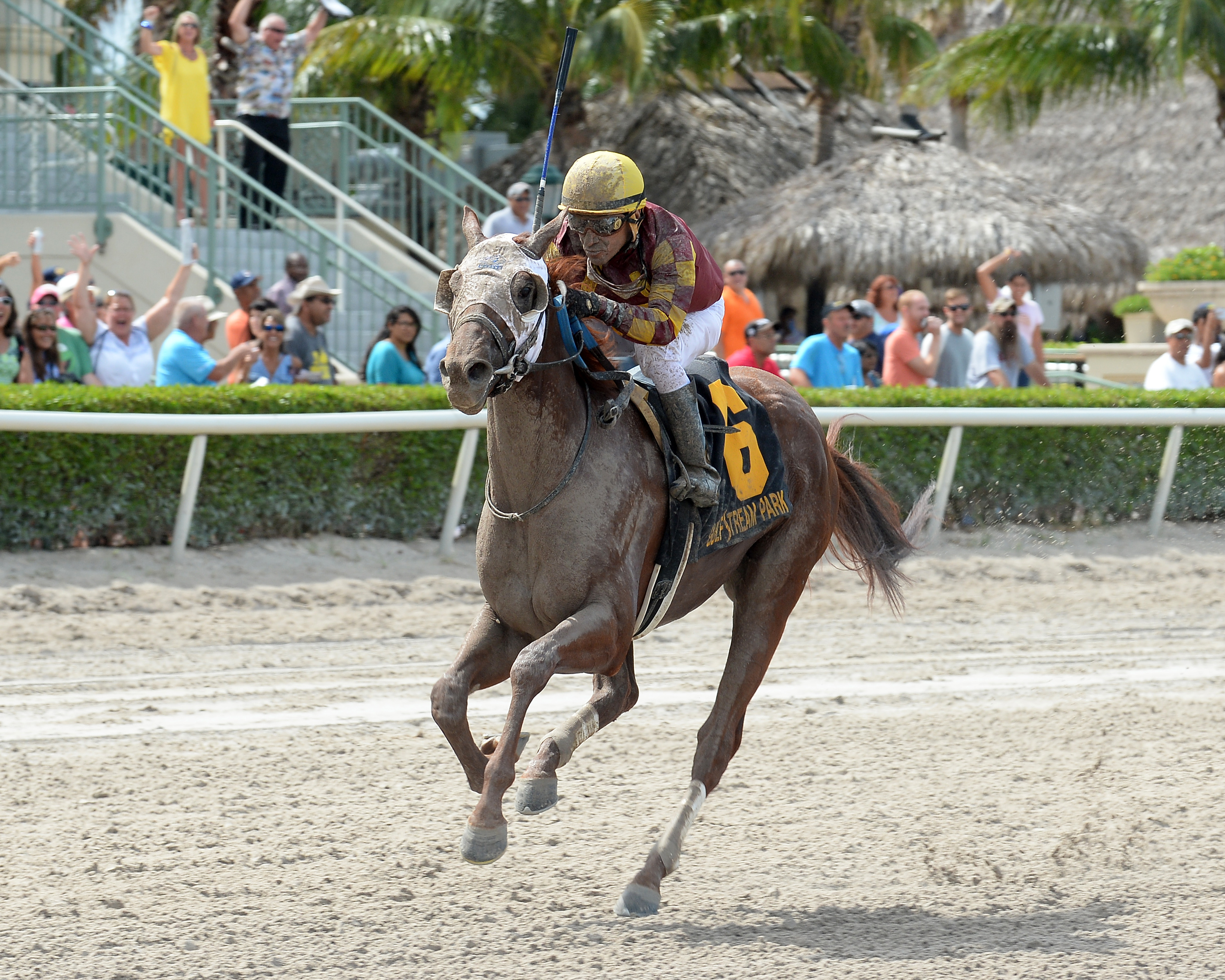 Rated R Superstar wins the Carry Back Stakes