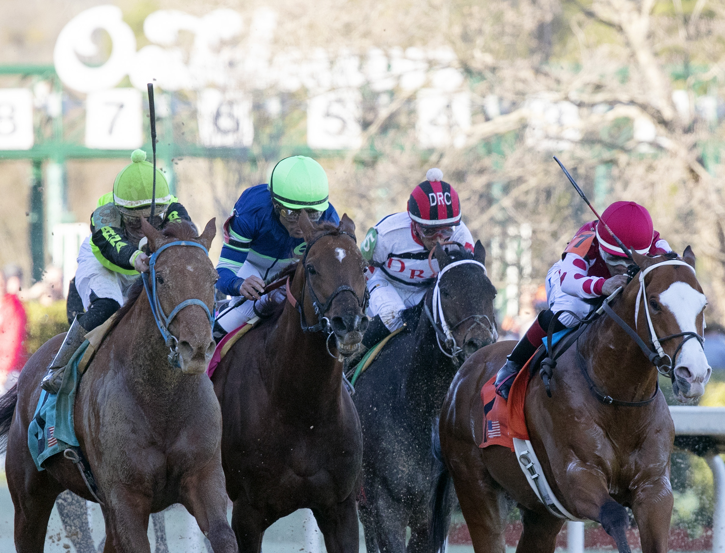 Rated R Superstar wins 2019 Essex Handicap