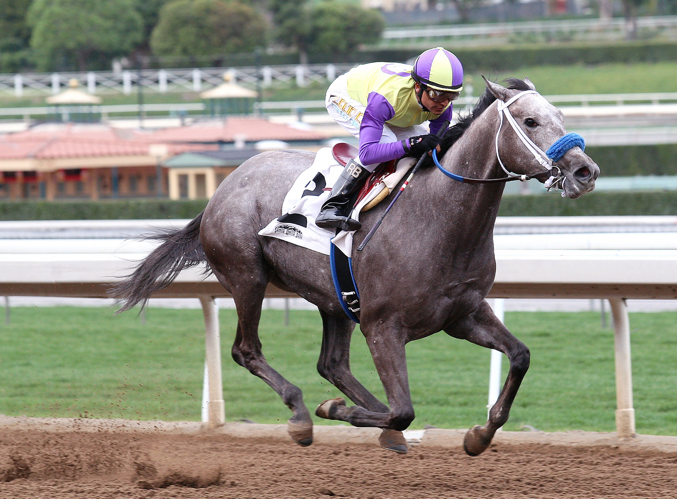 Rattataptap wins an optional claimer