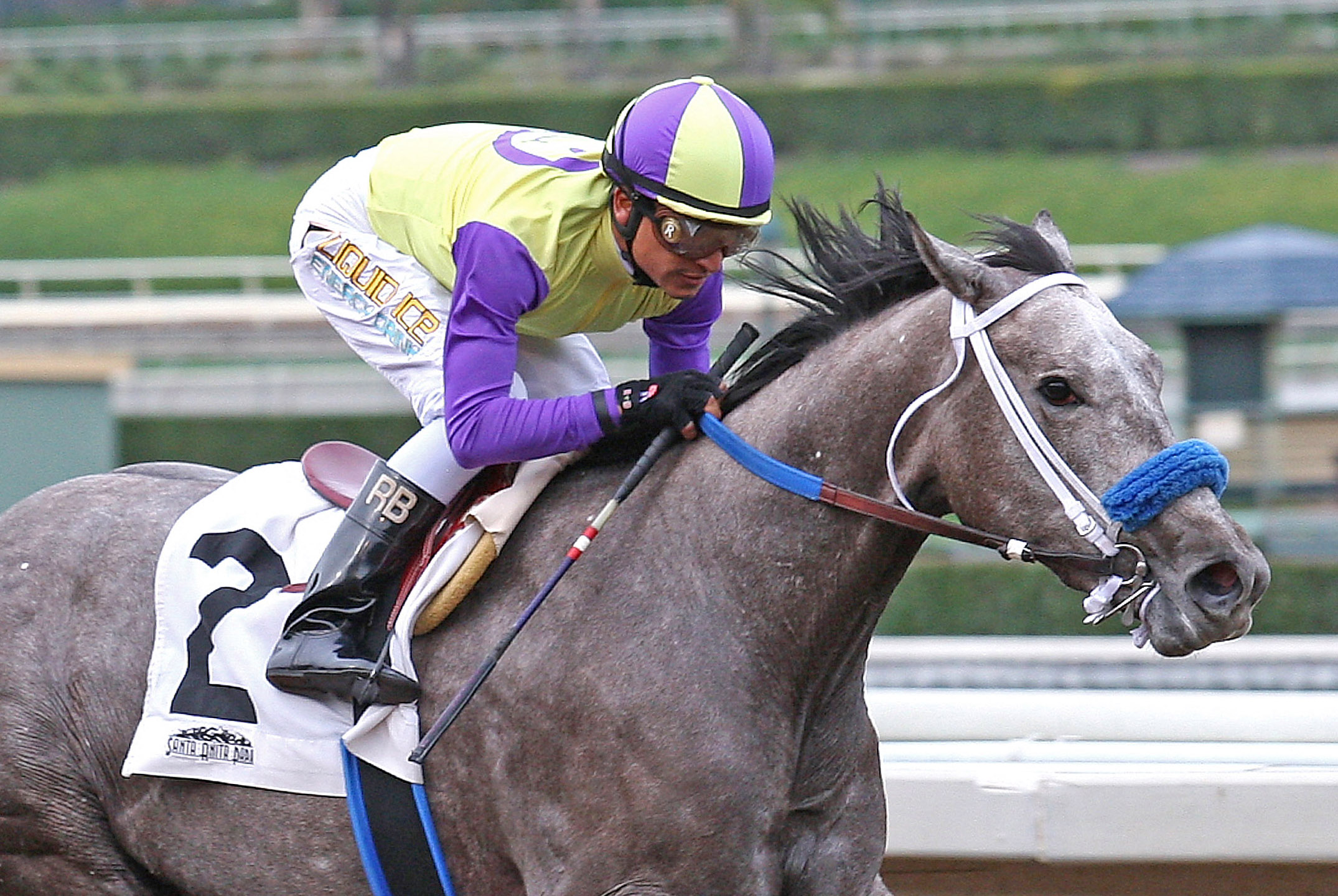 Rattataptap wins an allowance race