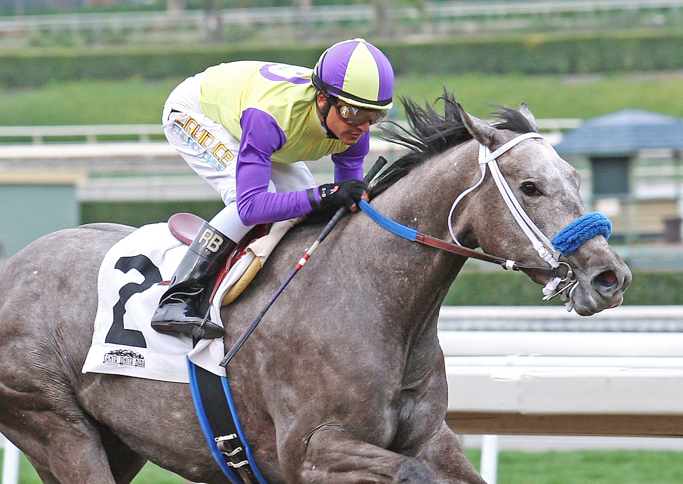 Rattataptap wins an allowance race