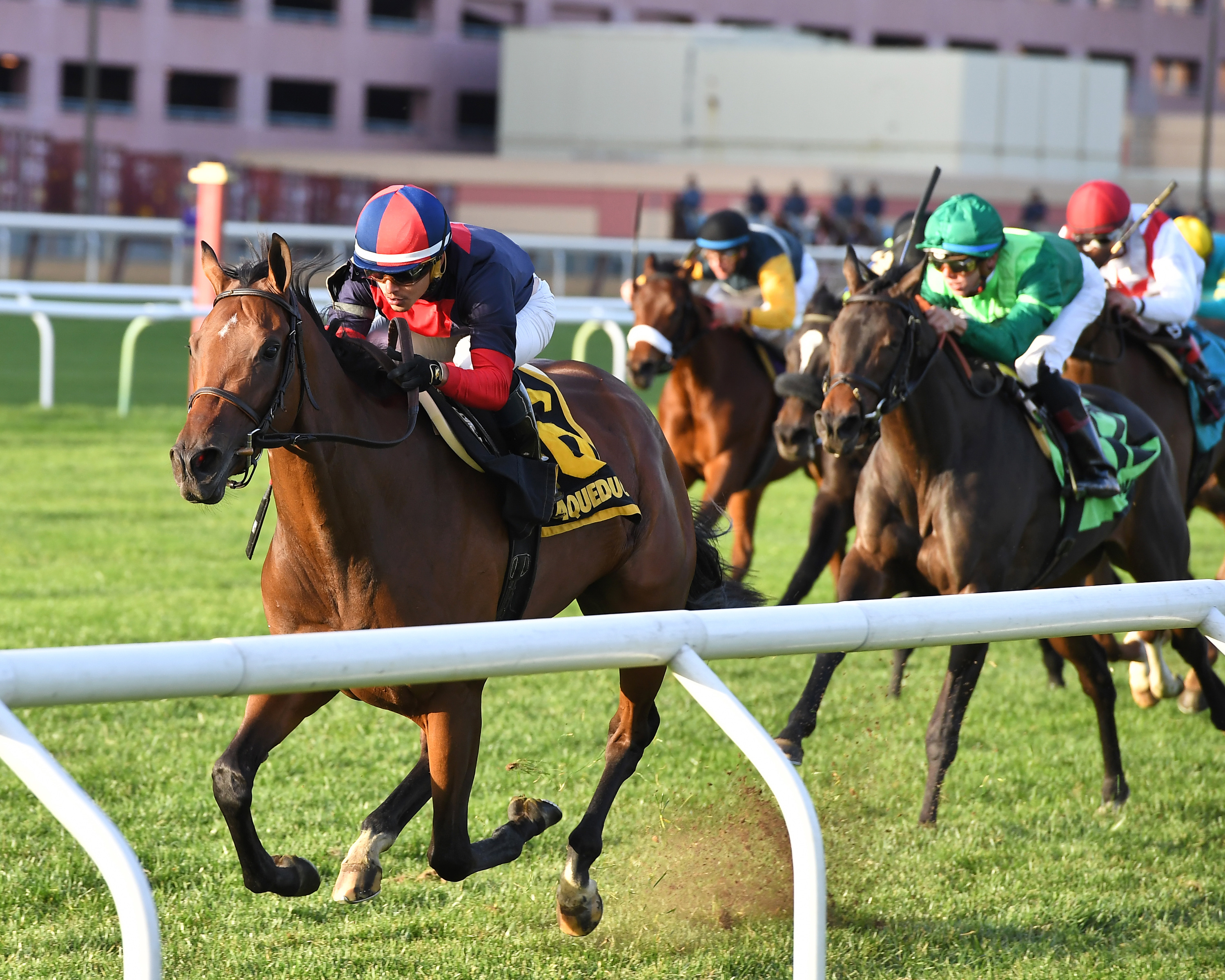 Raucous wins the 2017 Chelsey Flower Stakes