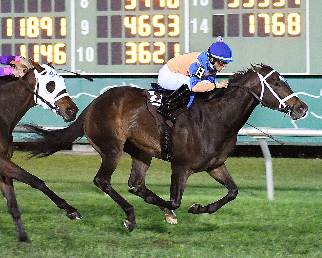 Raven's Cry wins the 2021 Miss Houston Turf Stakes at Sam Houston Race Park