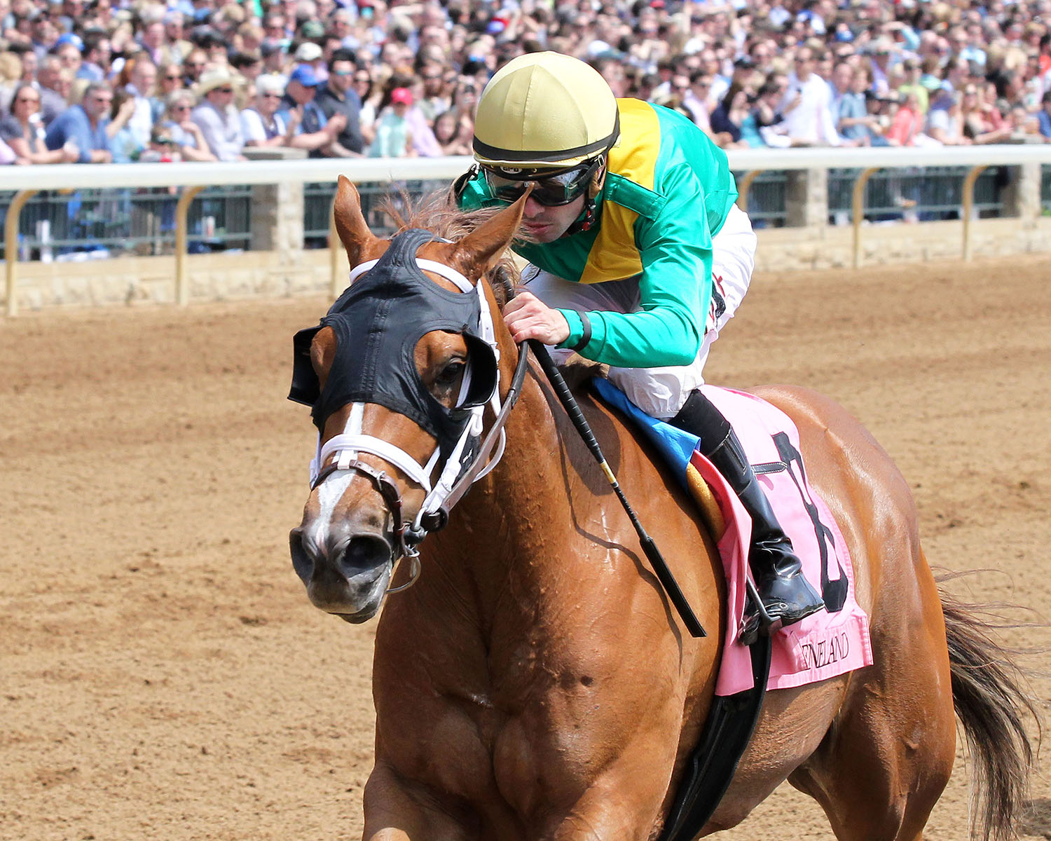 Ravish wins an April 21 maiden race