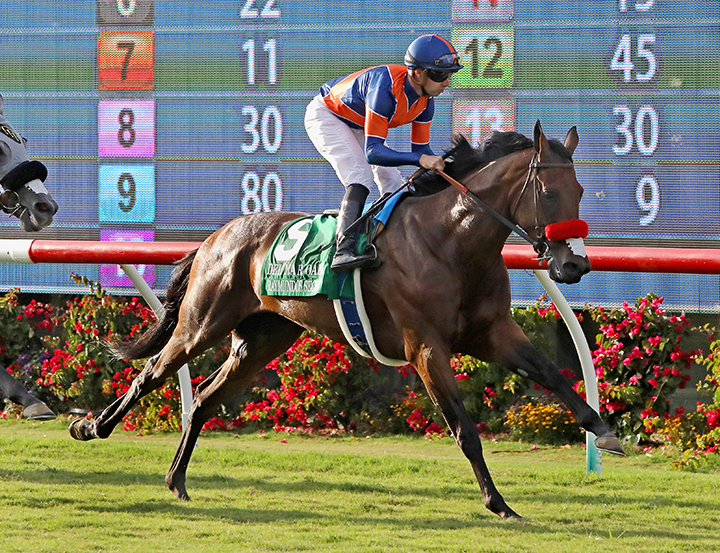 Raymundos Secret finishes eighth in the Del Mar Oaks at Del Mar