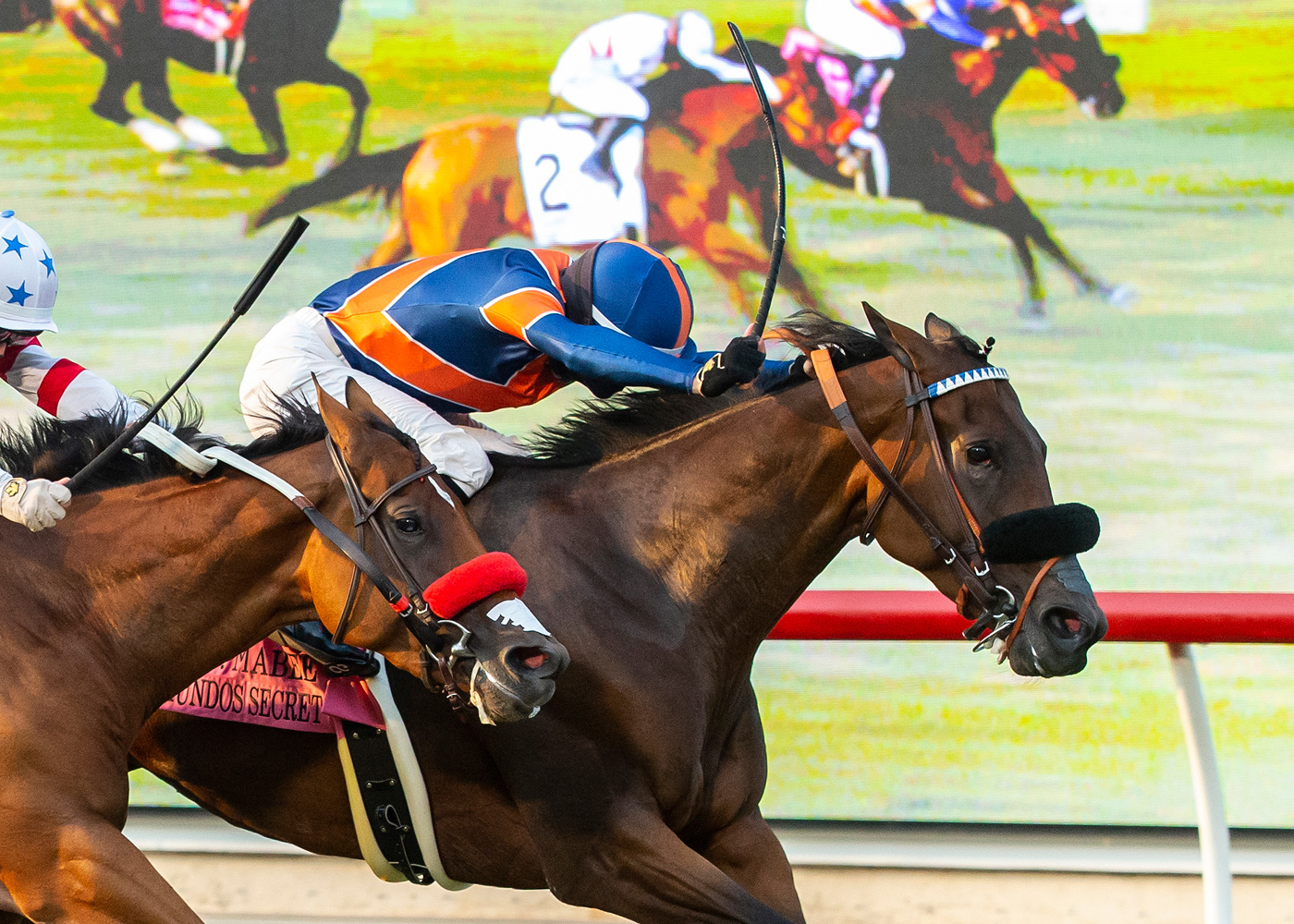 Raymundos Secret wins the John C. Mabee Stakes at Del Mar