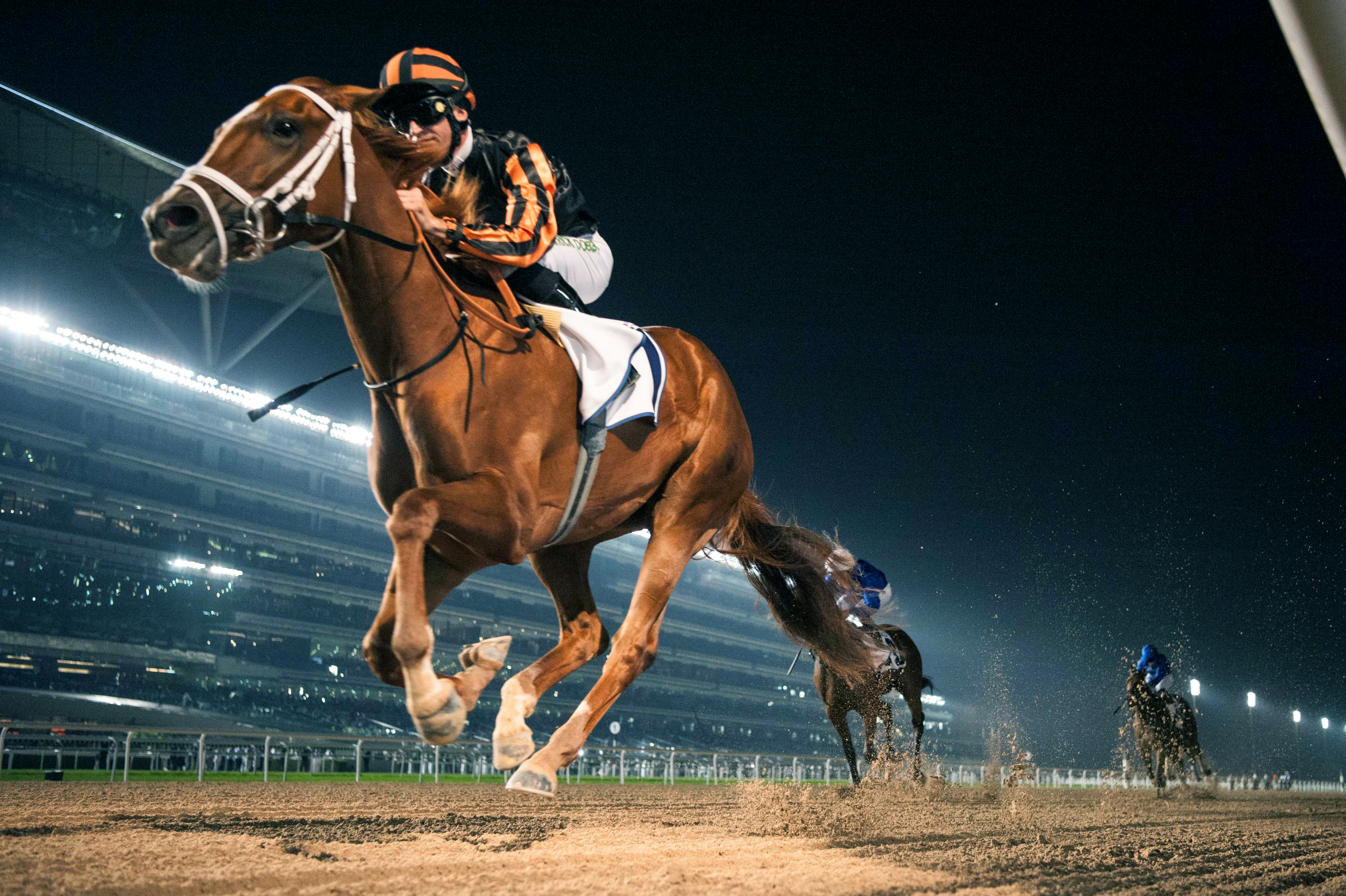 Rayya wins the 2018 UAE Oaks