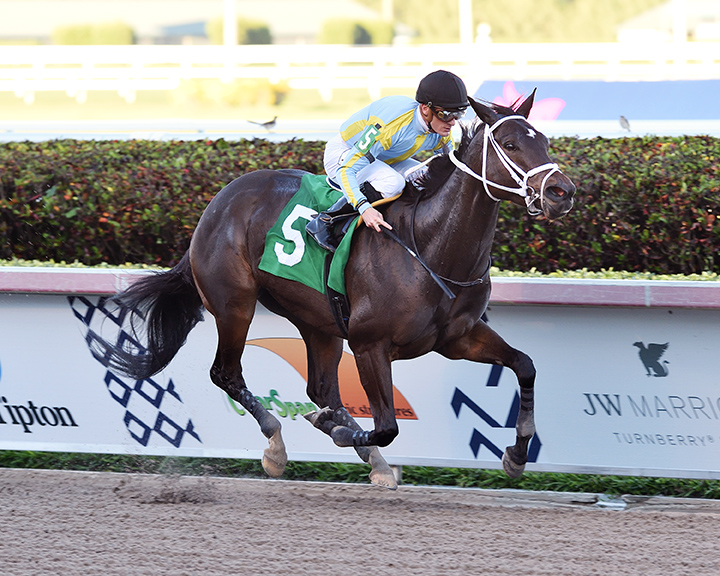 Razorback Lady wins a Feb. 28 allowance