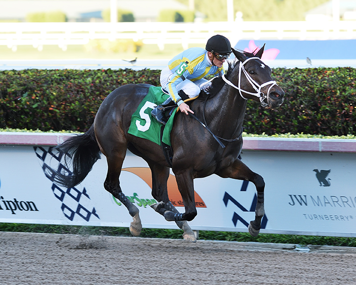 Razorback Lady wins a Feb. 28 allowance at Gulfstream Park