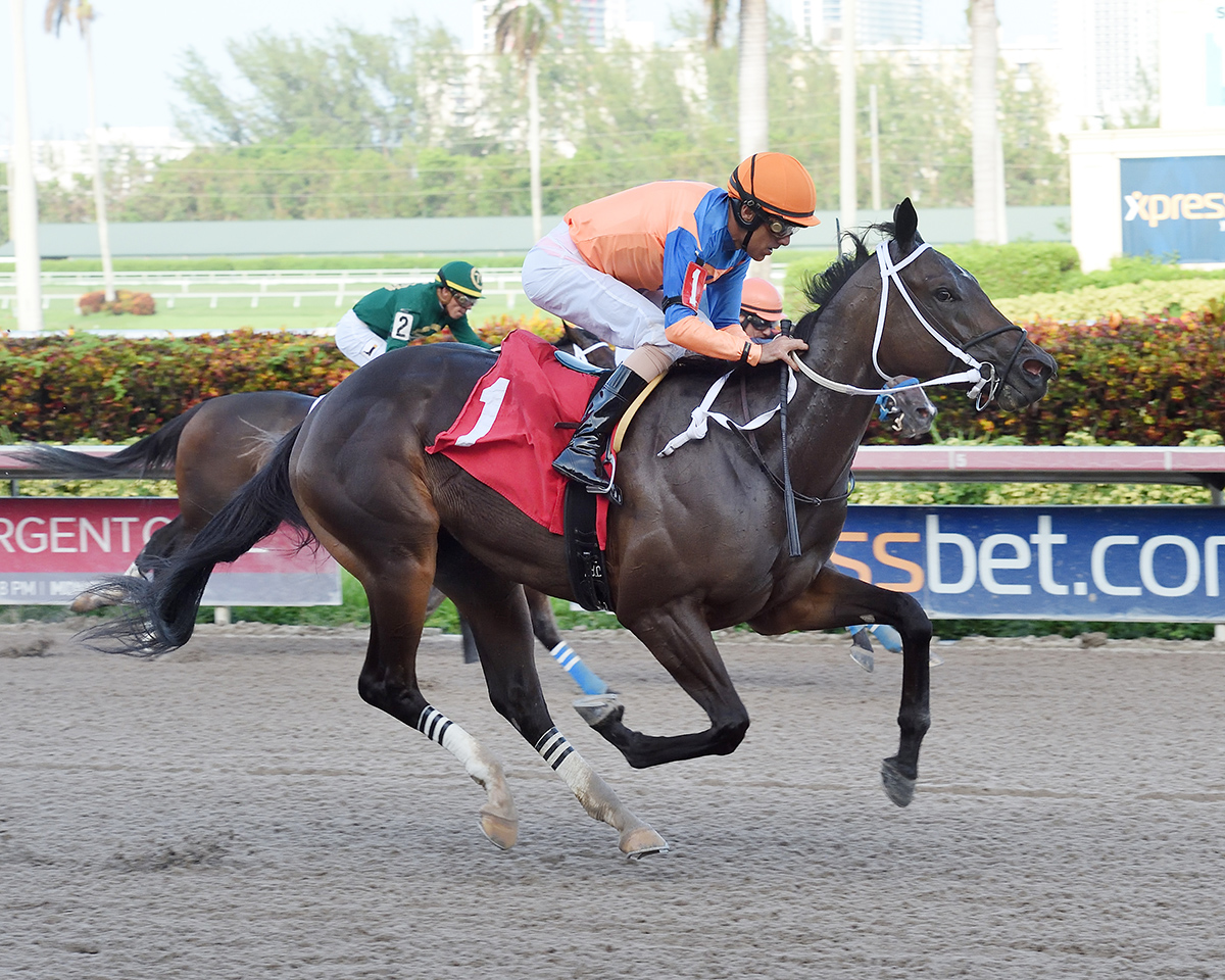 Razorback Lady wins a Sept. 30 maiden race