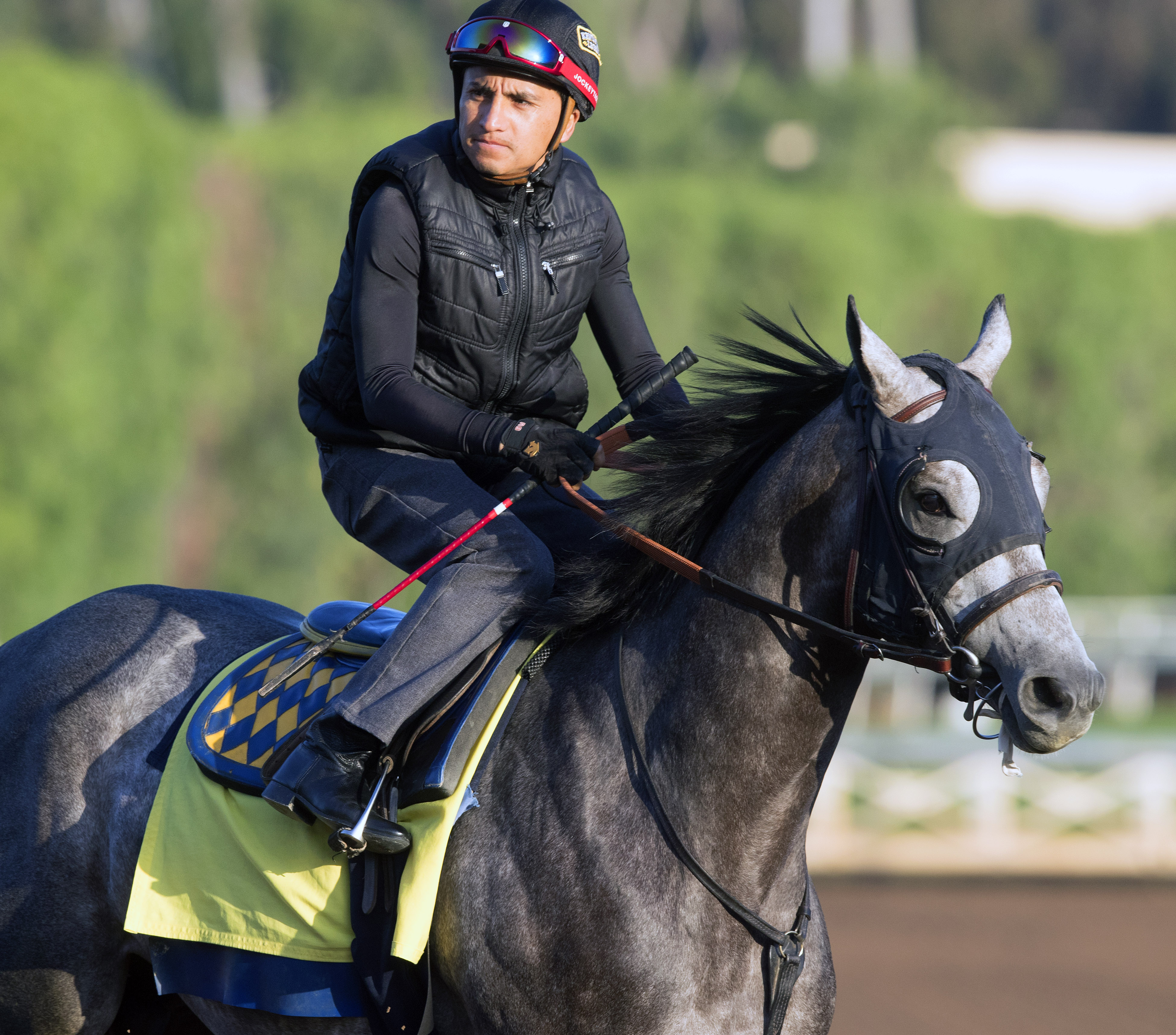 Reach the World trains at Santa Anita on March 17