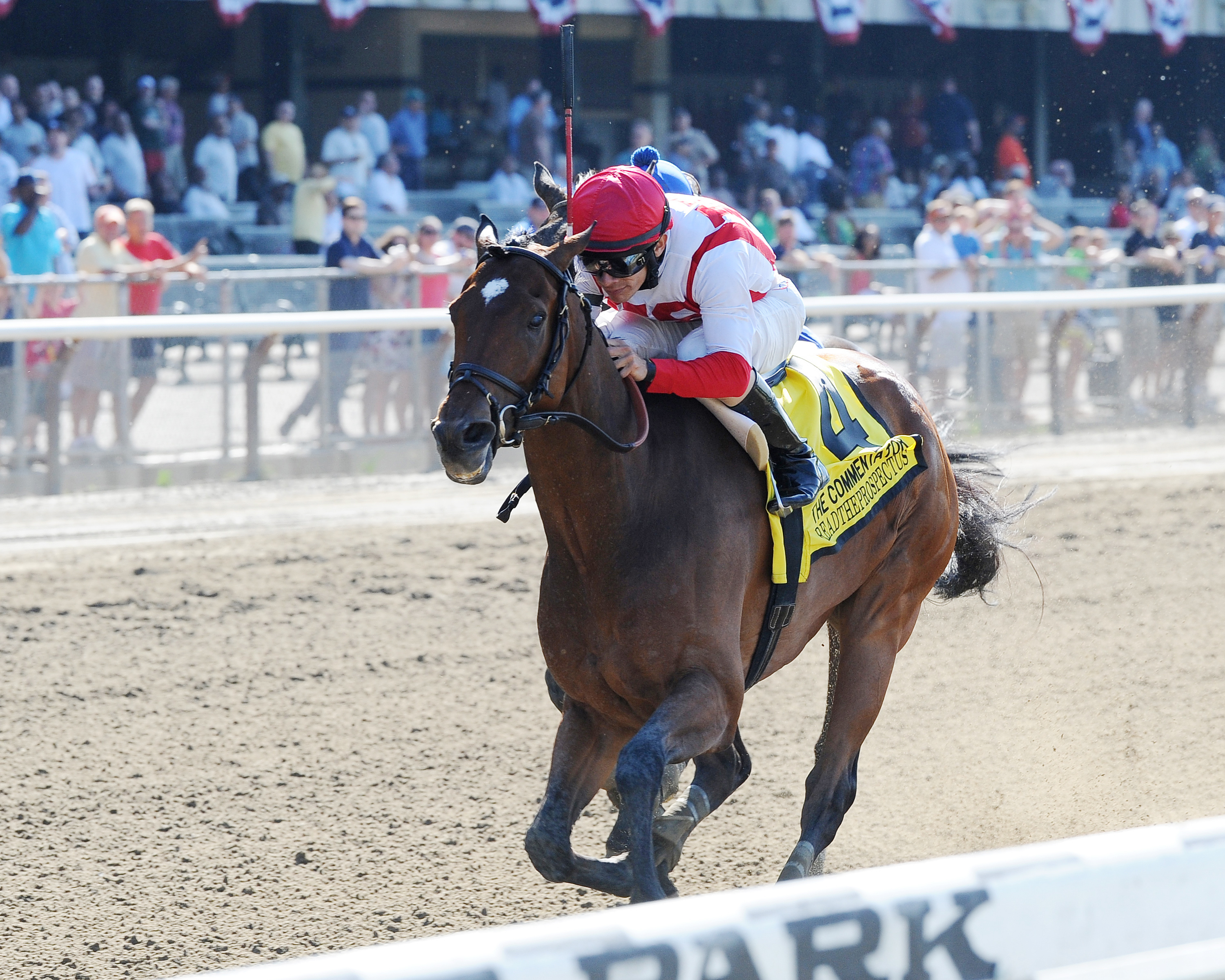 Readtheprospectus wins the 2013 Commentator