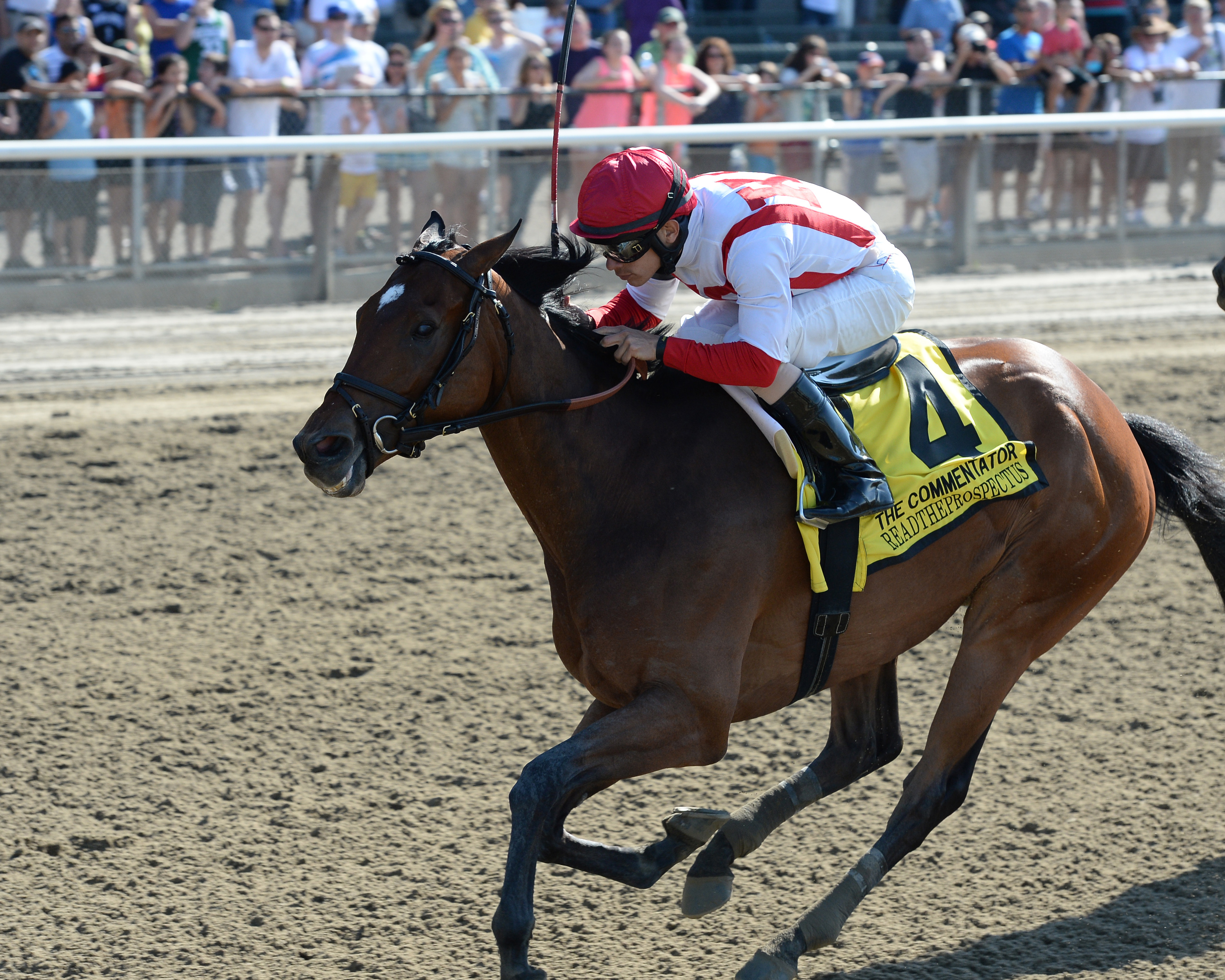 Readtheprospectus wins the Commentator Handicap