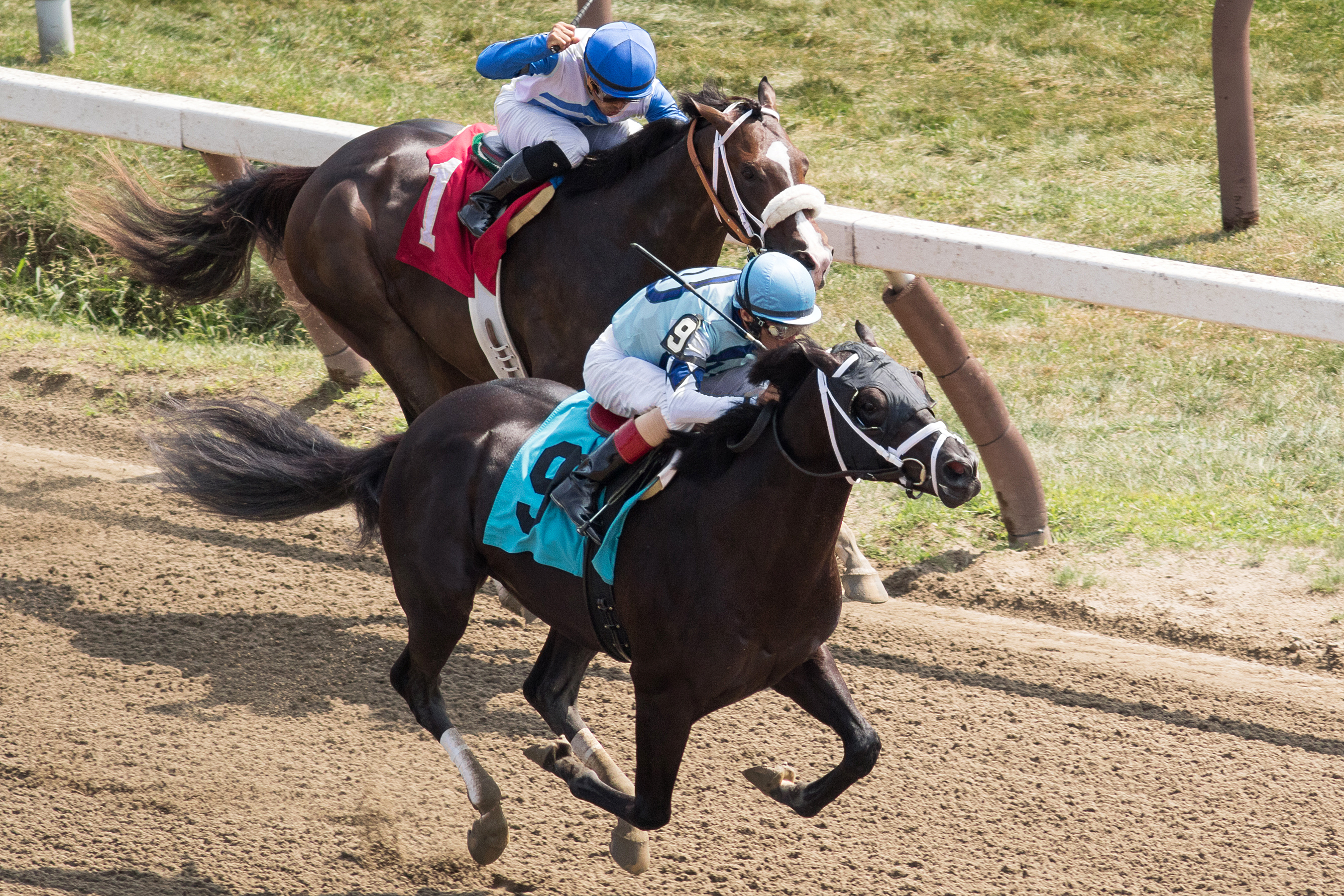 Ready Dancer wins a maiden race