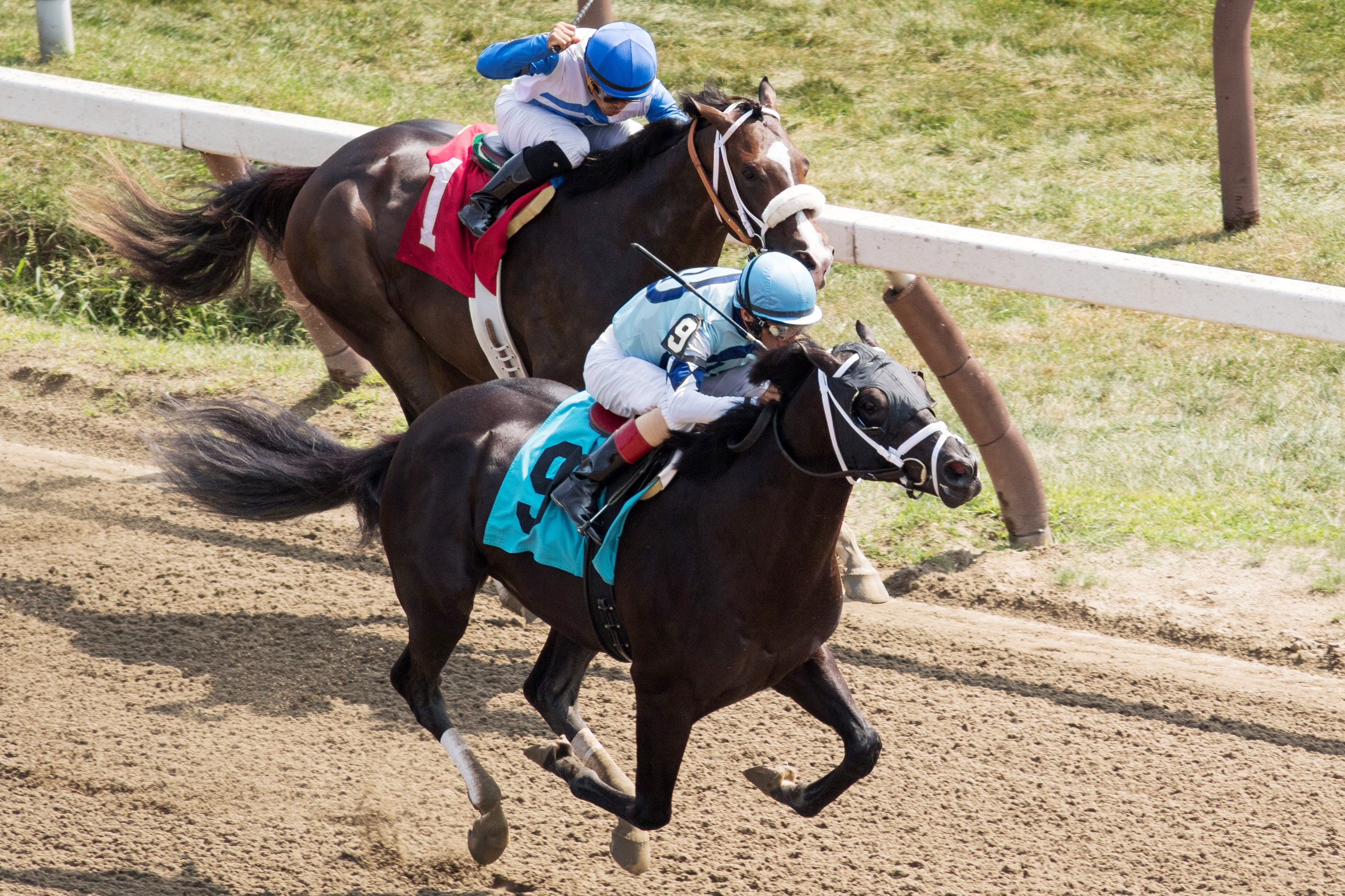 Ready Dancer wins a maiden race