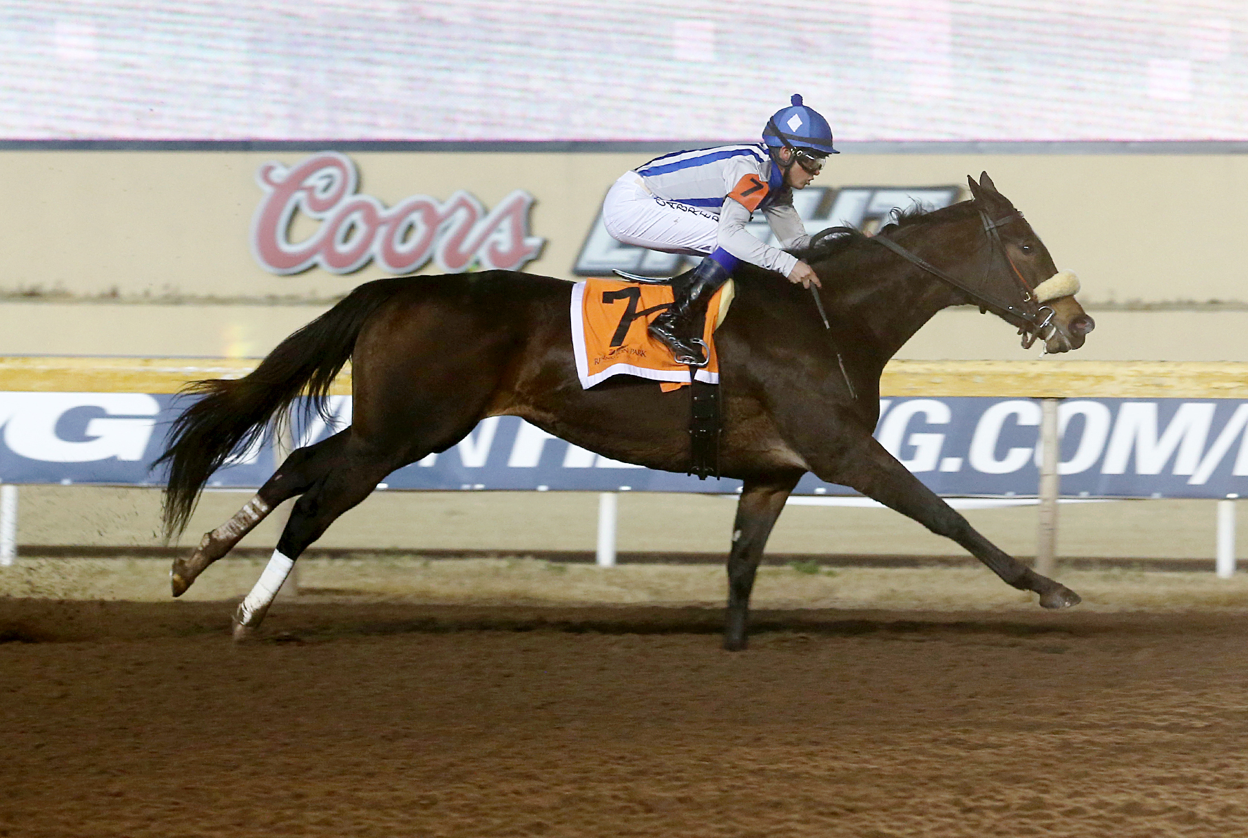 Ready to Confess wins the 2017 She-s All In