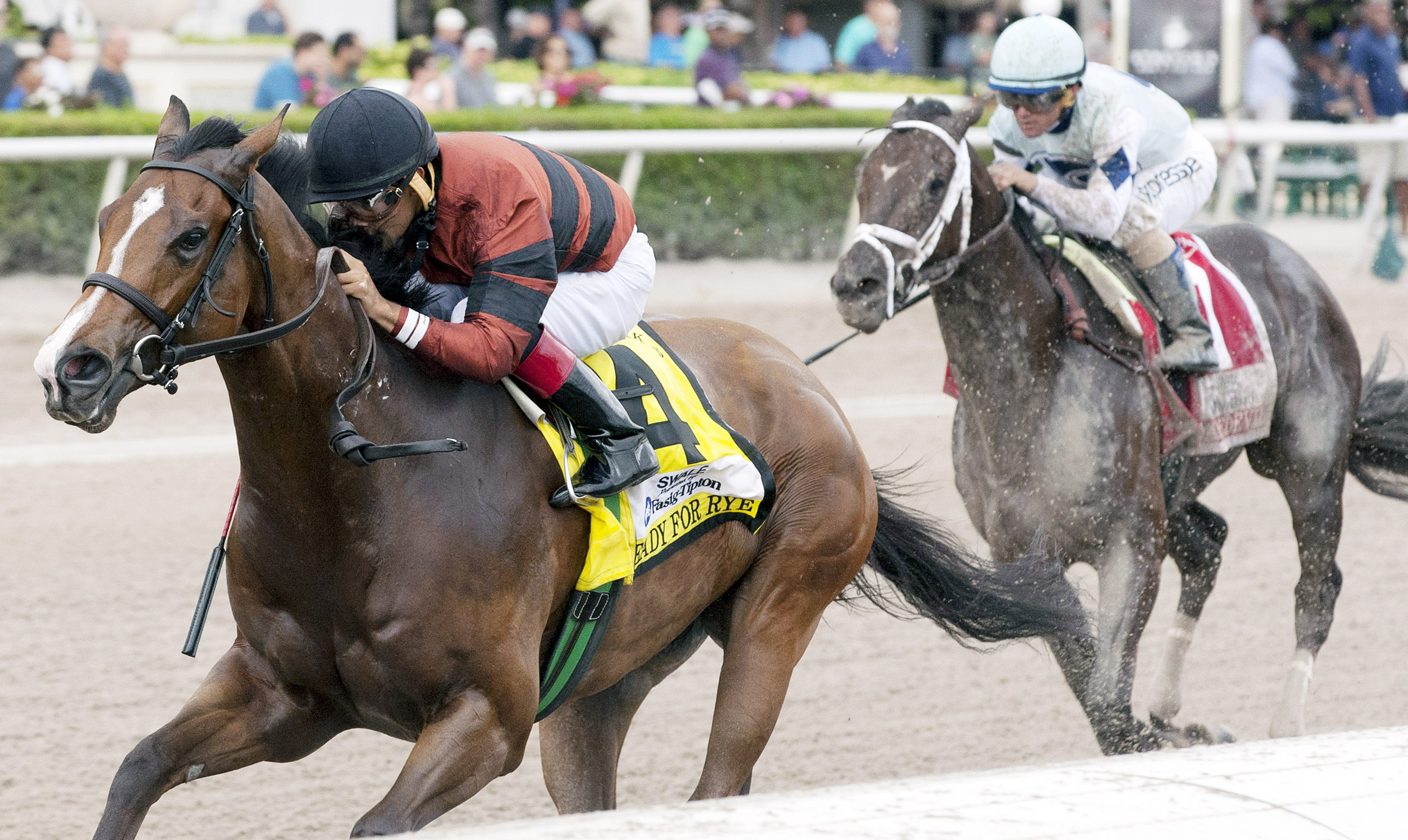 Ready for Rye wins the Swale