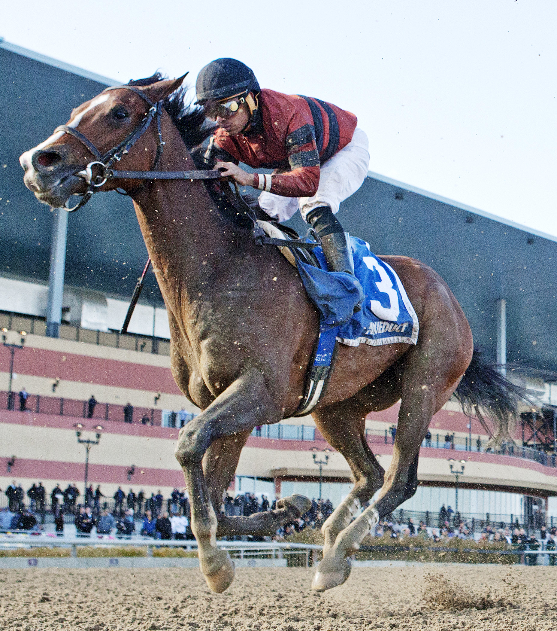 Ready For Rye finishes third in the Bay Shore Stakes
