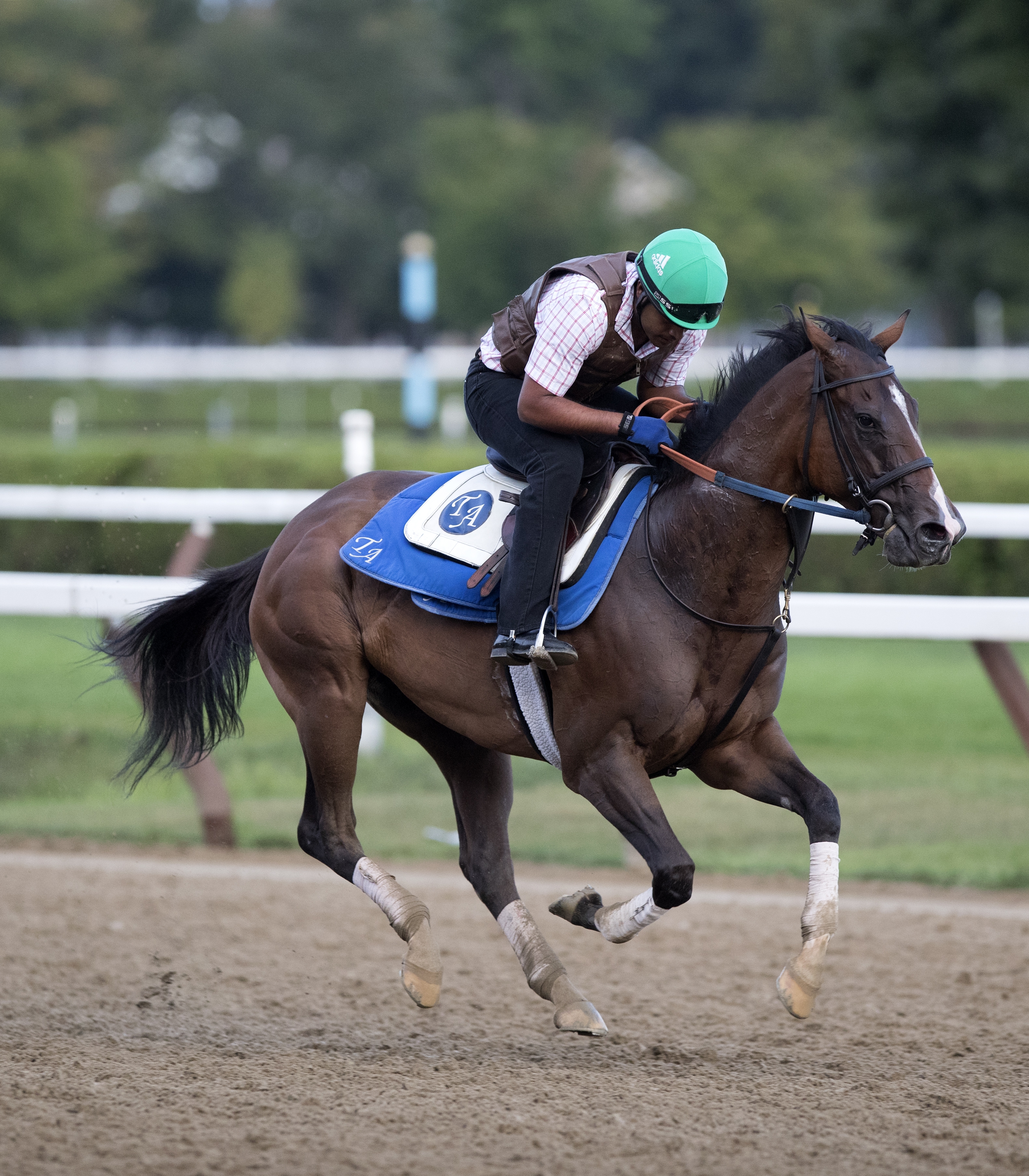 Ready for Rye trains at Saratoga in 2017