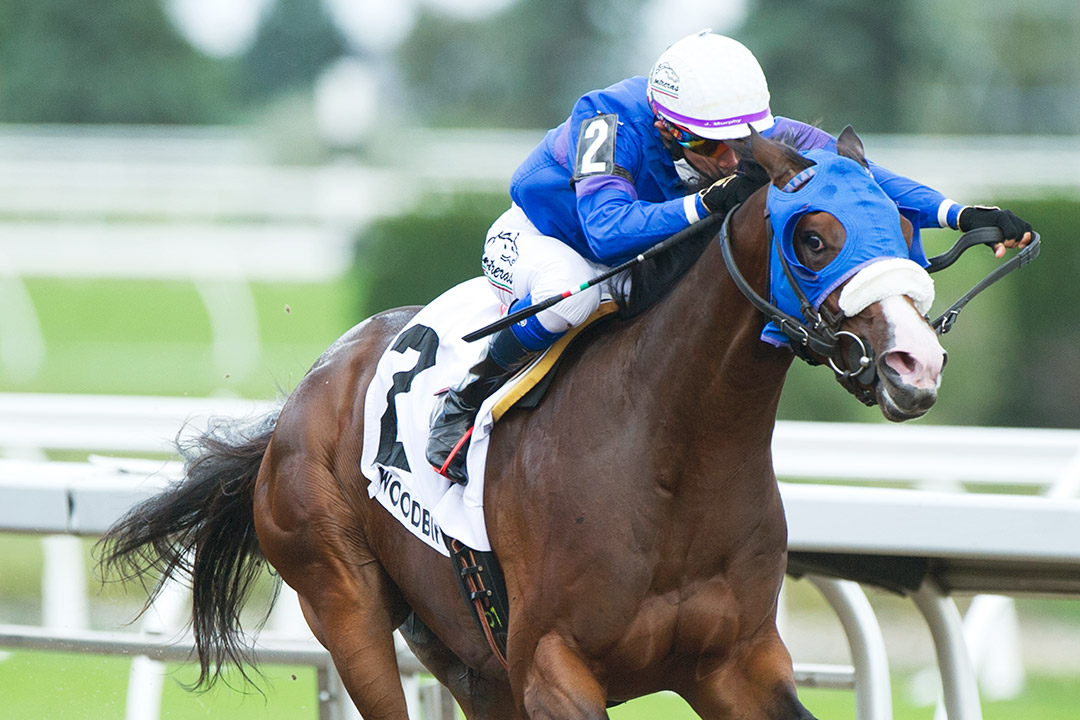 Ready to Repeat wins the 2020 Victoria Stakes at Woodbine
