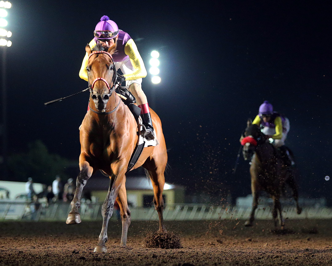 Ready to Runaway wins the 2021 Glitter Star Stakes at Canterbury Park