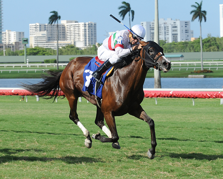 Reagan-s Odyssey wins a July 17, 2016 allowance optional claimer at Gulfstream