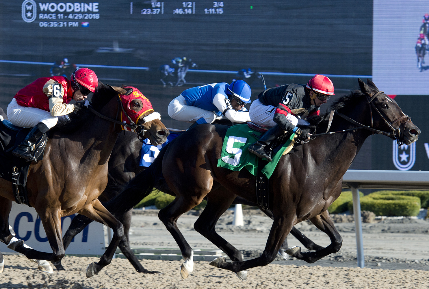 Real Point wins an April 29 maiden race