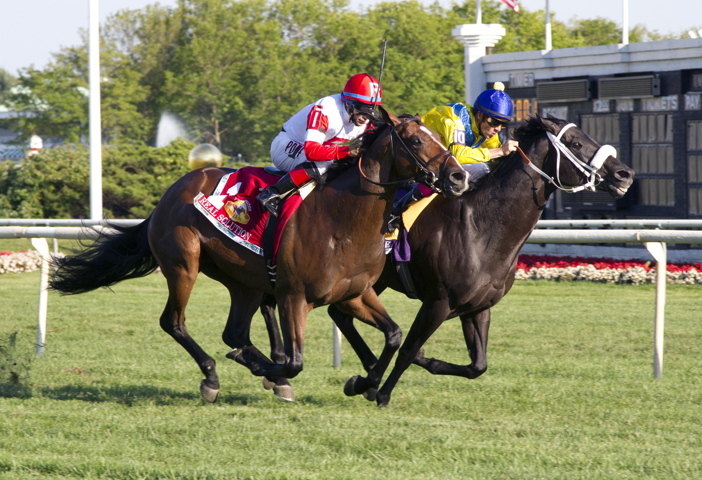 Real Solution (outside), The Apache, Arlington Million