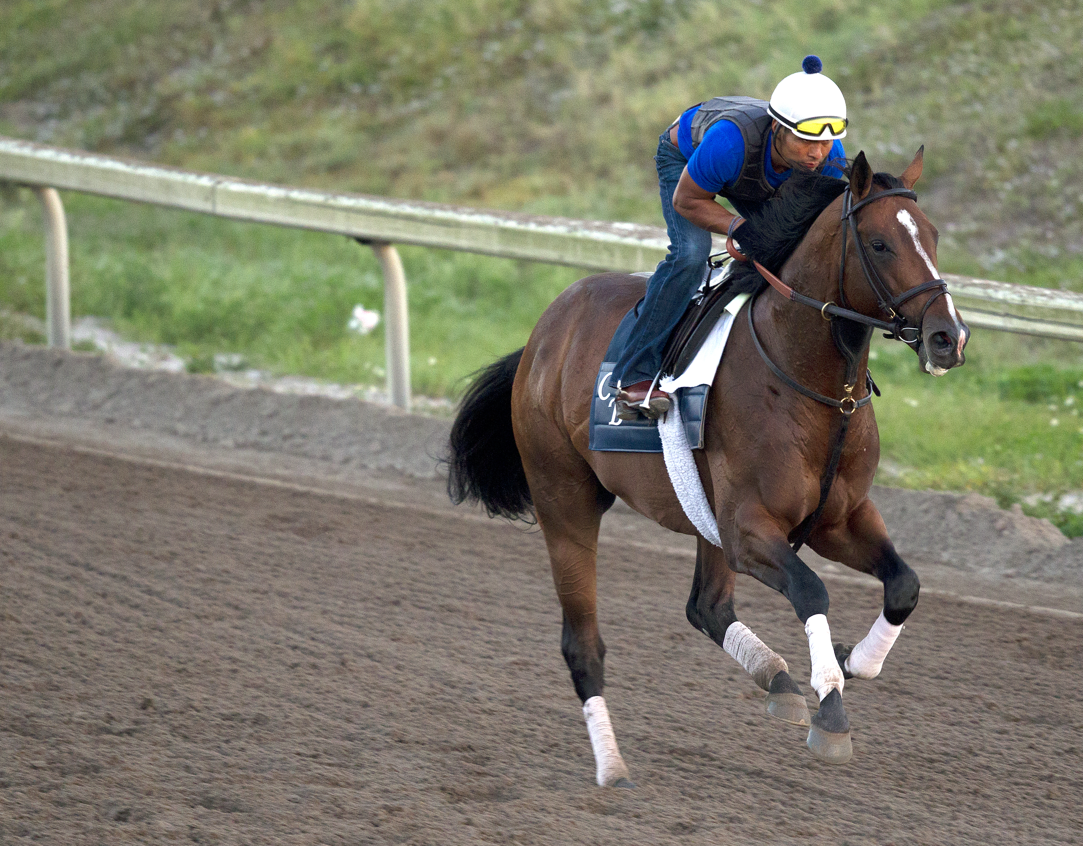 Real Solution trains at Palm Meadows on March 16